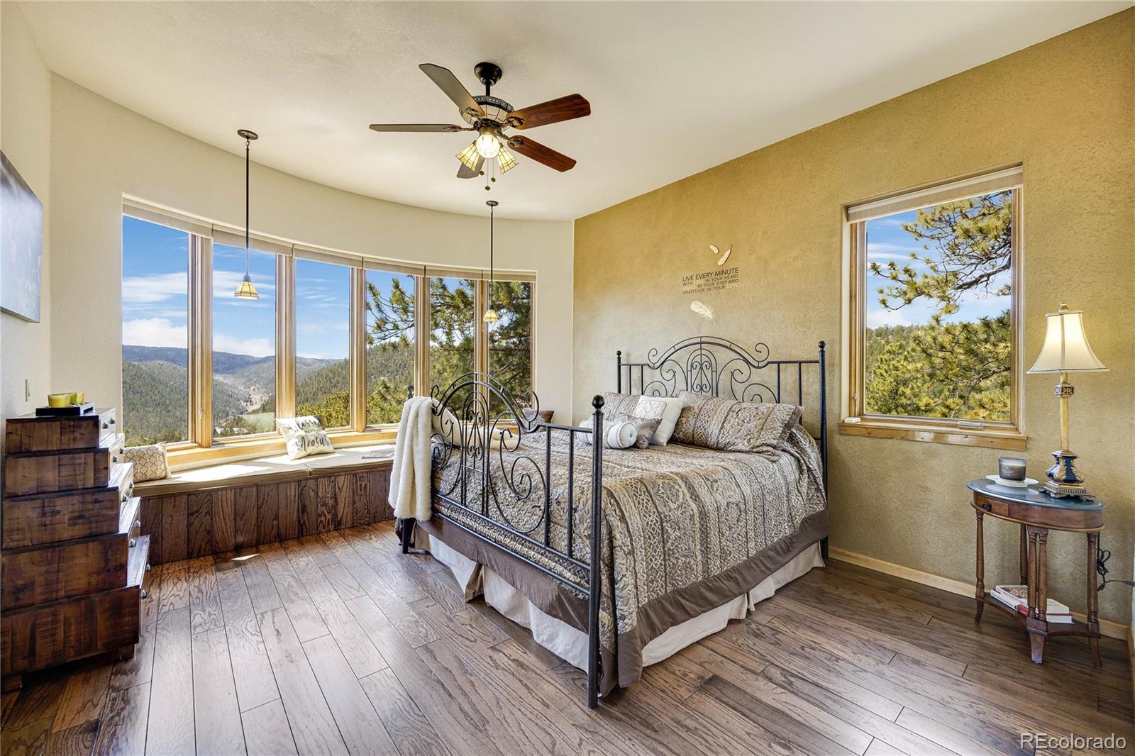 MLS Image #14 for 239  wildlife point,divide, Colorado