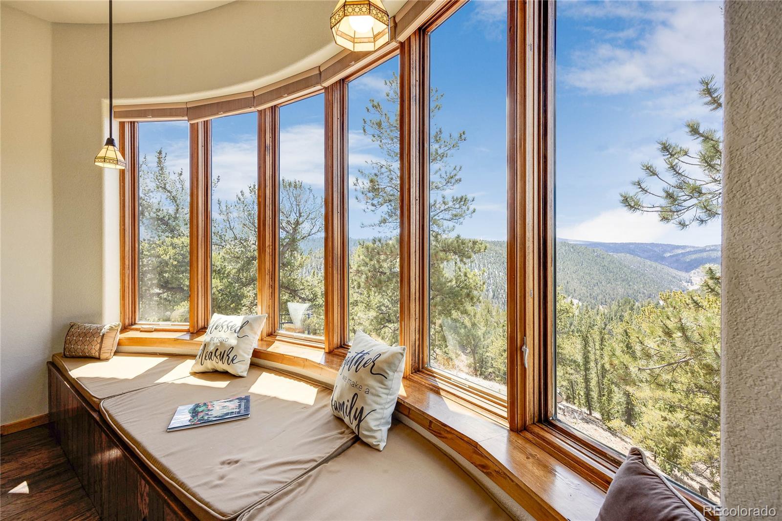 MLS Image #18 for 239  wildlife point,divide, Colorado