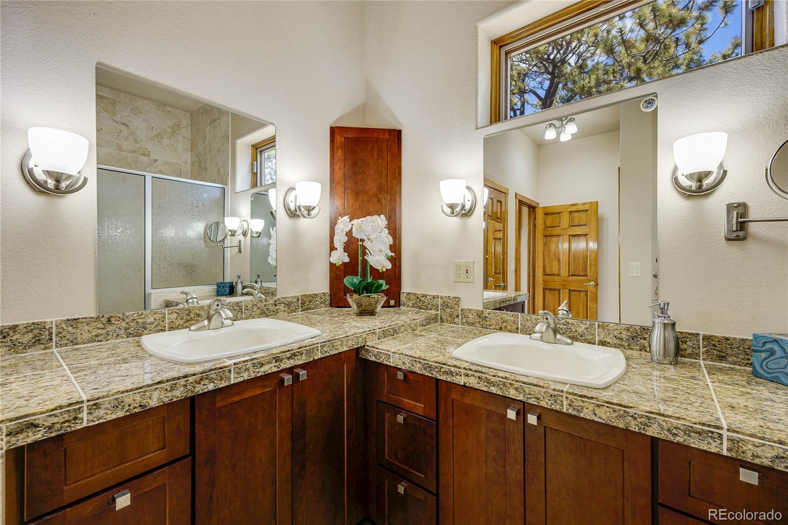 MLS Image #20 for 239  wildlife point,divide, Colorado