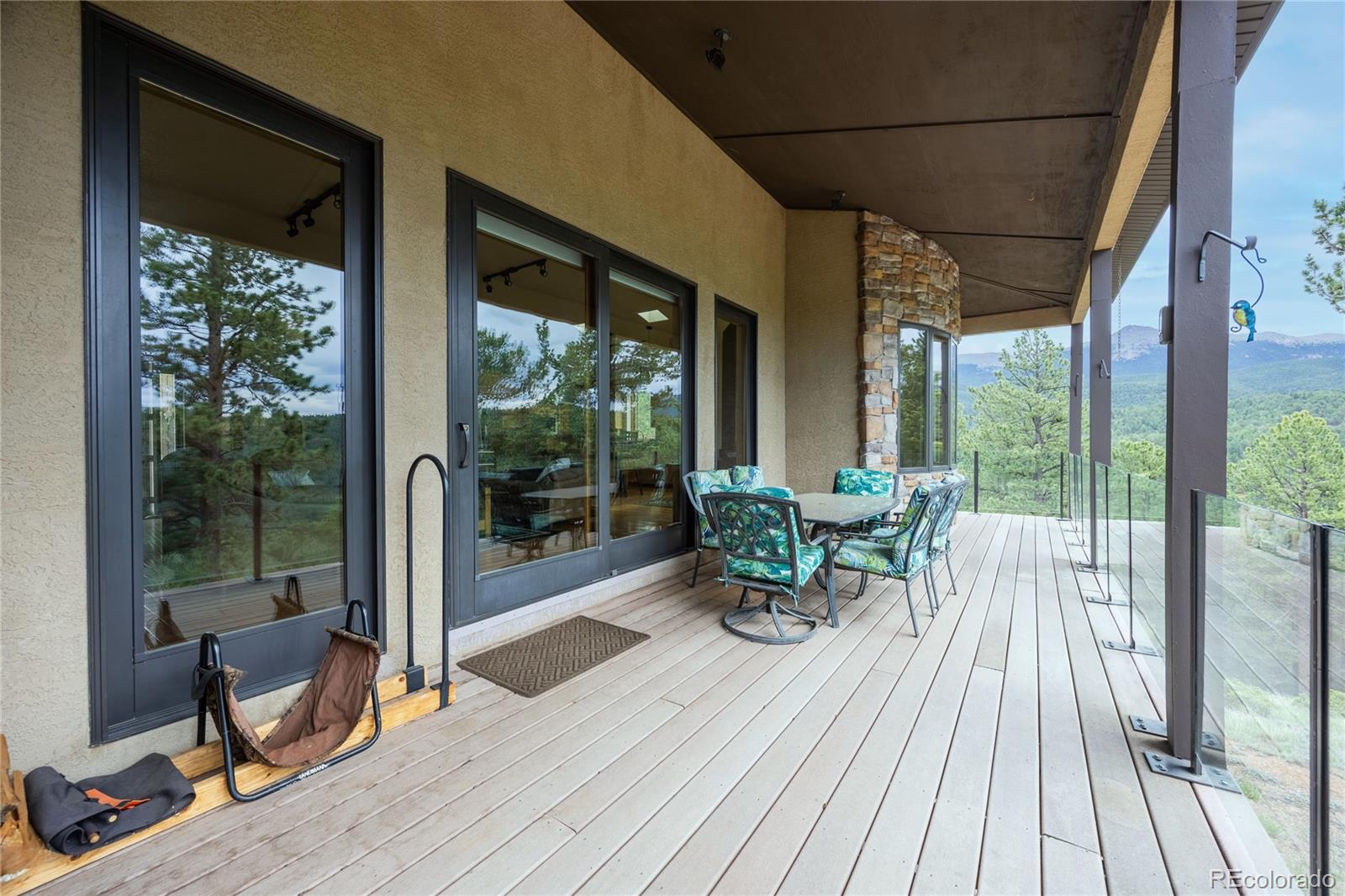 MLS Image #22 for 239  wildlife point,divide, Colorado