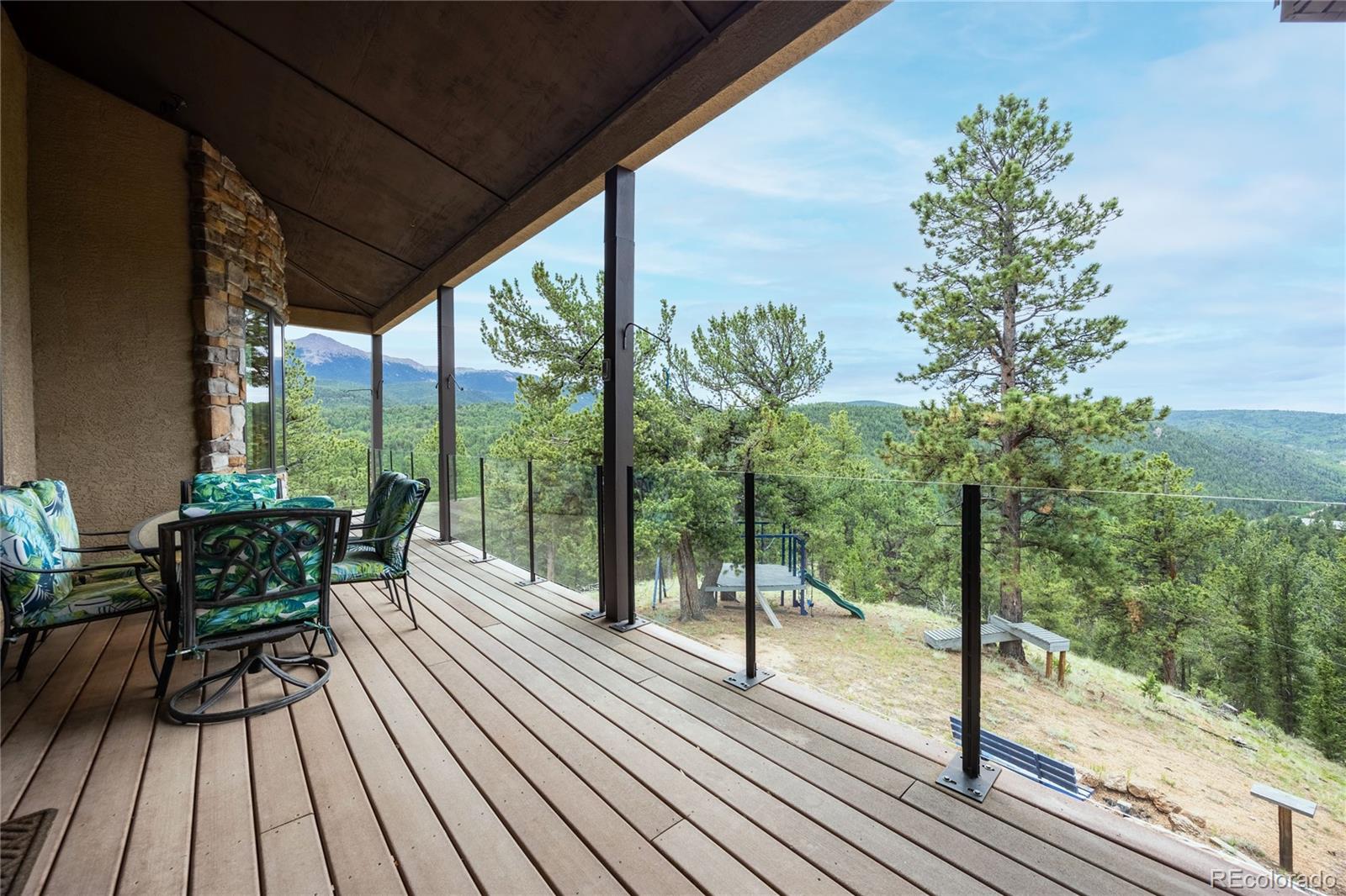 MLS Image #24 for 239  wildlife point,divide, Colorado