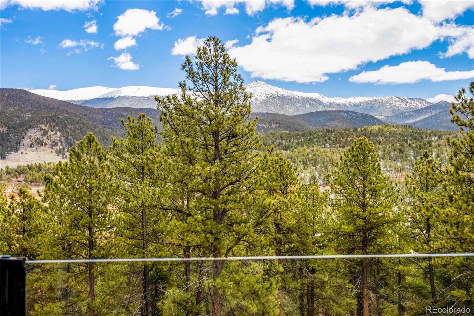 MLS Image #25 for 239  wildlife point,divide, Colorado