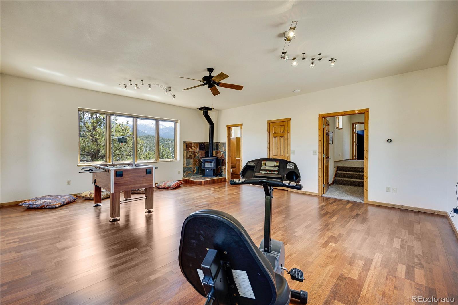 MLS Image #27 for 239  wildlife point,divide, Colorado