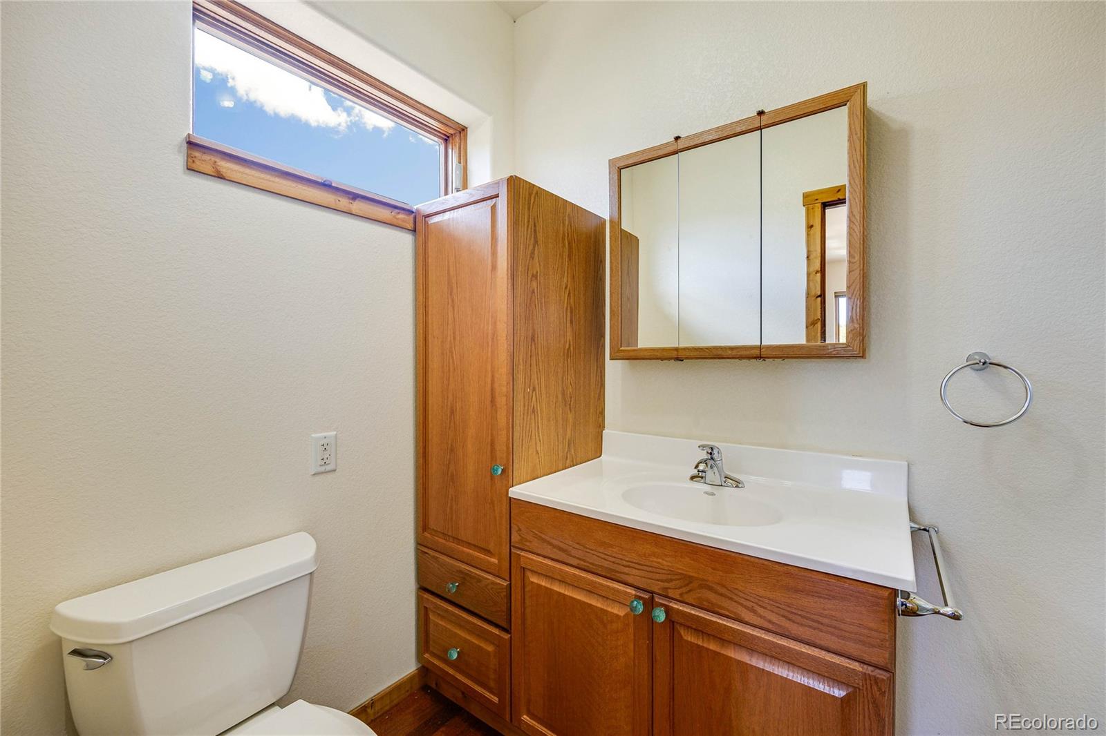 MLS Image #28 for 239  wildlife point,divide, Colorado