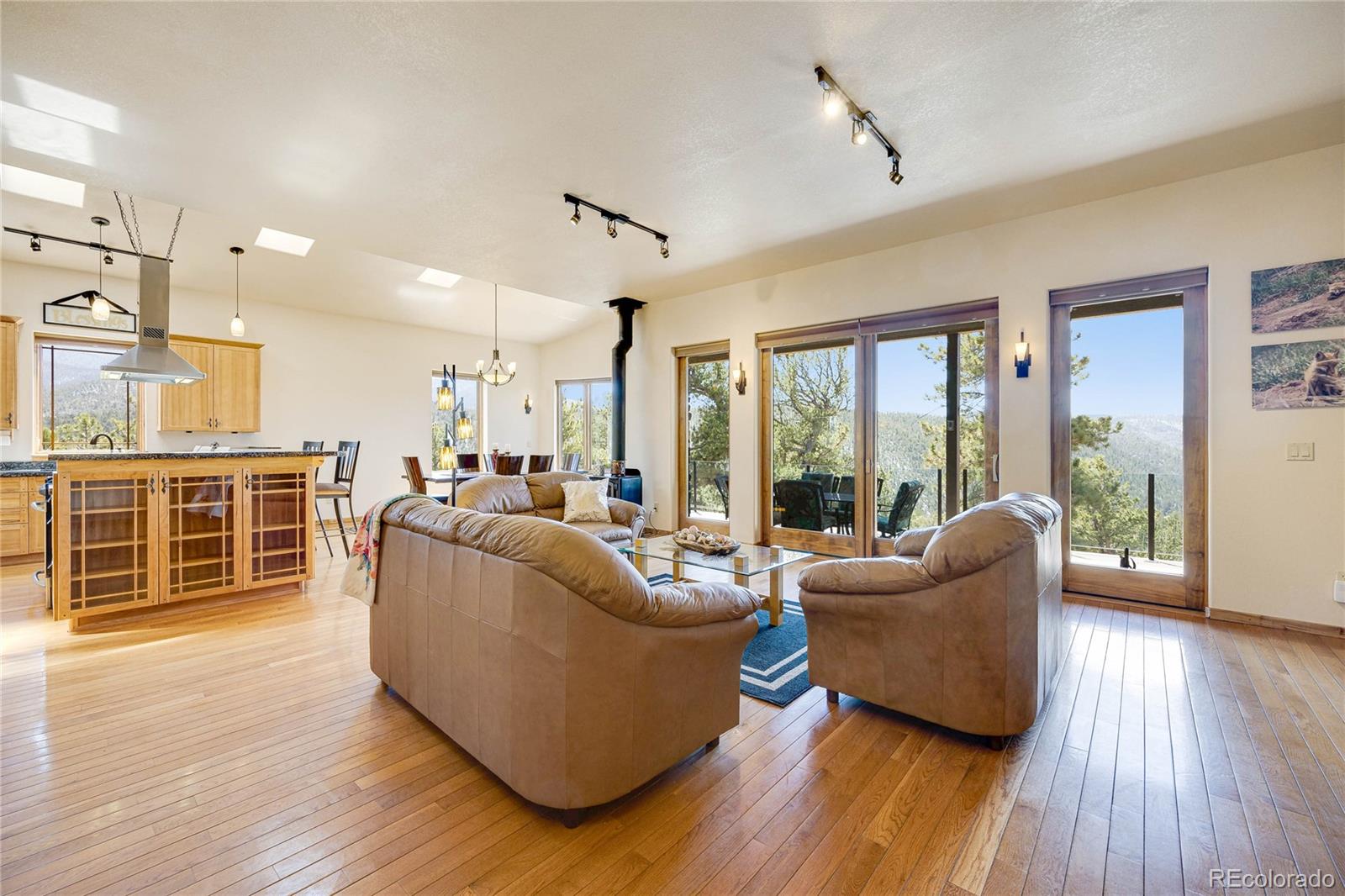 MLS Image #3 for 239  wildlife point,divide, Colorado