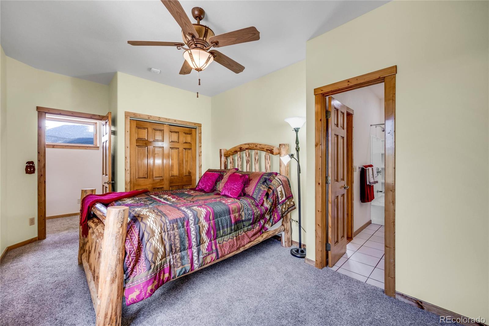 MLS Image #30 for 239  wildlife point,divide, Colorado
