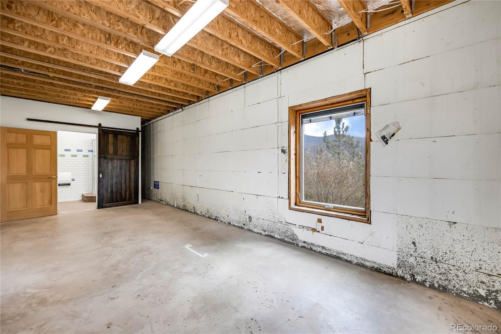MLS Image #38 for 239  wildlife point,divide, Colorado