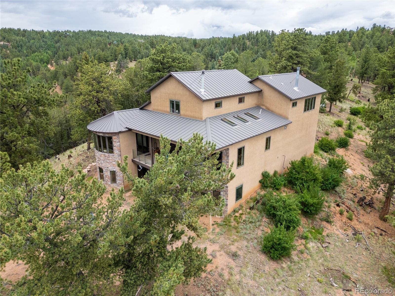 MLS Image #44 for 239  wildlife point,divide, Colorado