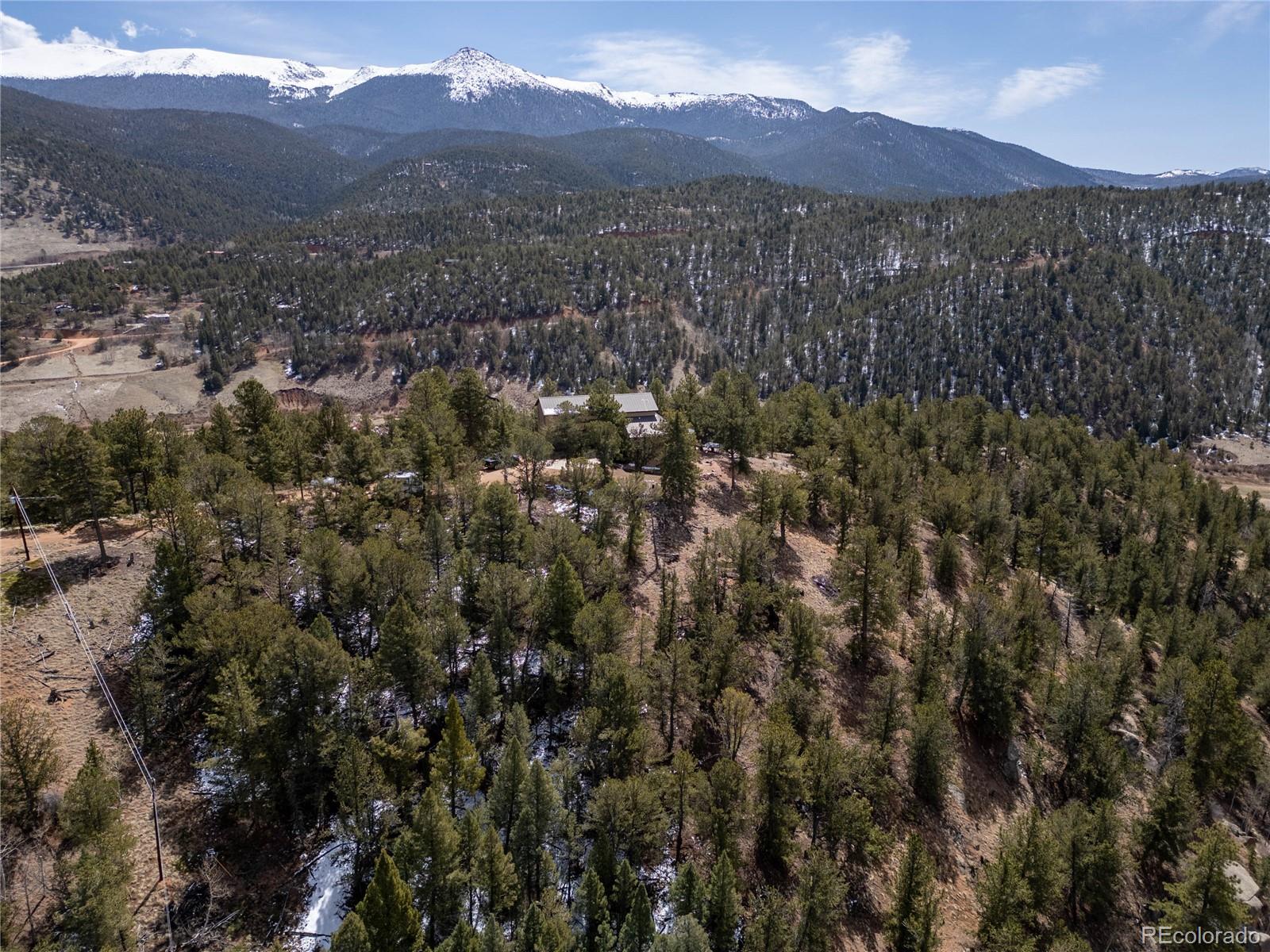 MLS Image #45 for 239  wildlife point,divide, Colorado