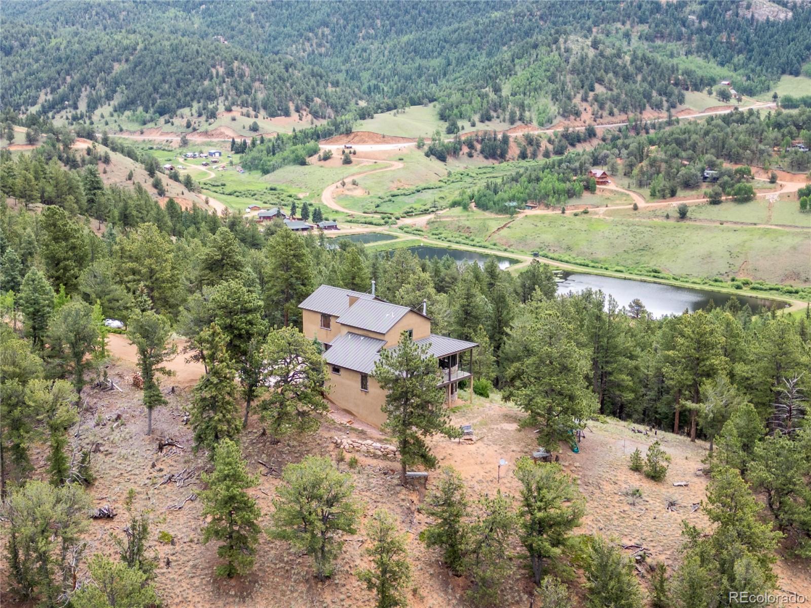 MLS Image #46 for 239  wildlife point,divide, Colorado