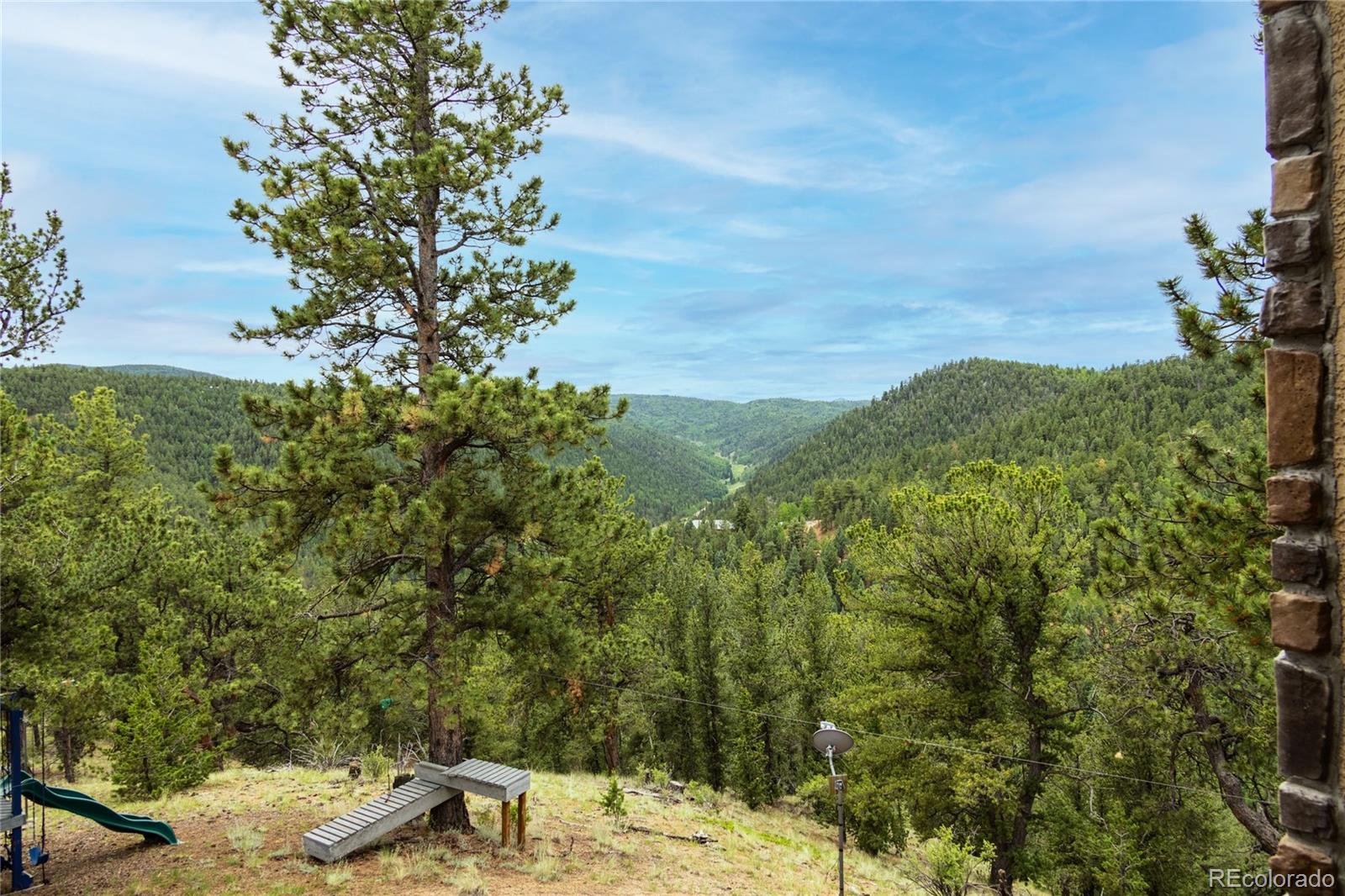 MLS Image #47 for 239  wildlife point,divide, Colorado