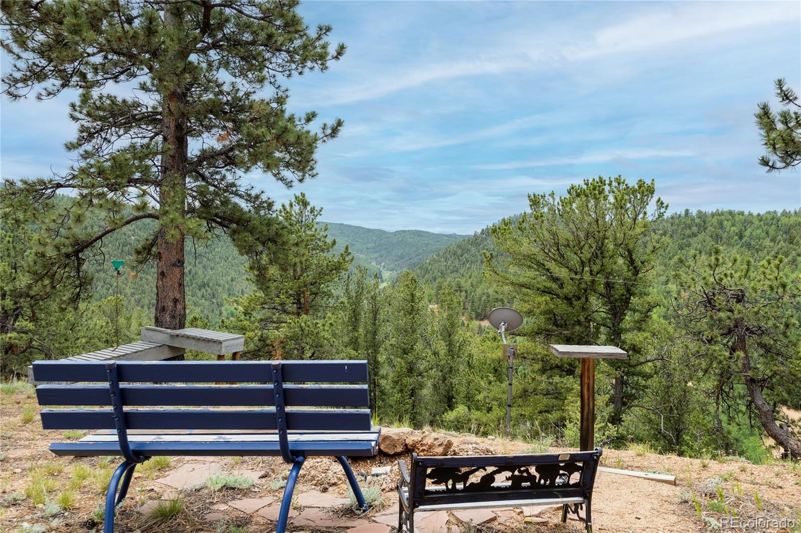 MLS Image #48 for 239  wildlife point,divide, Colorado