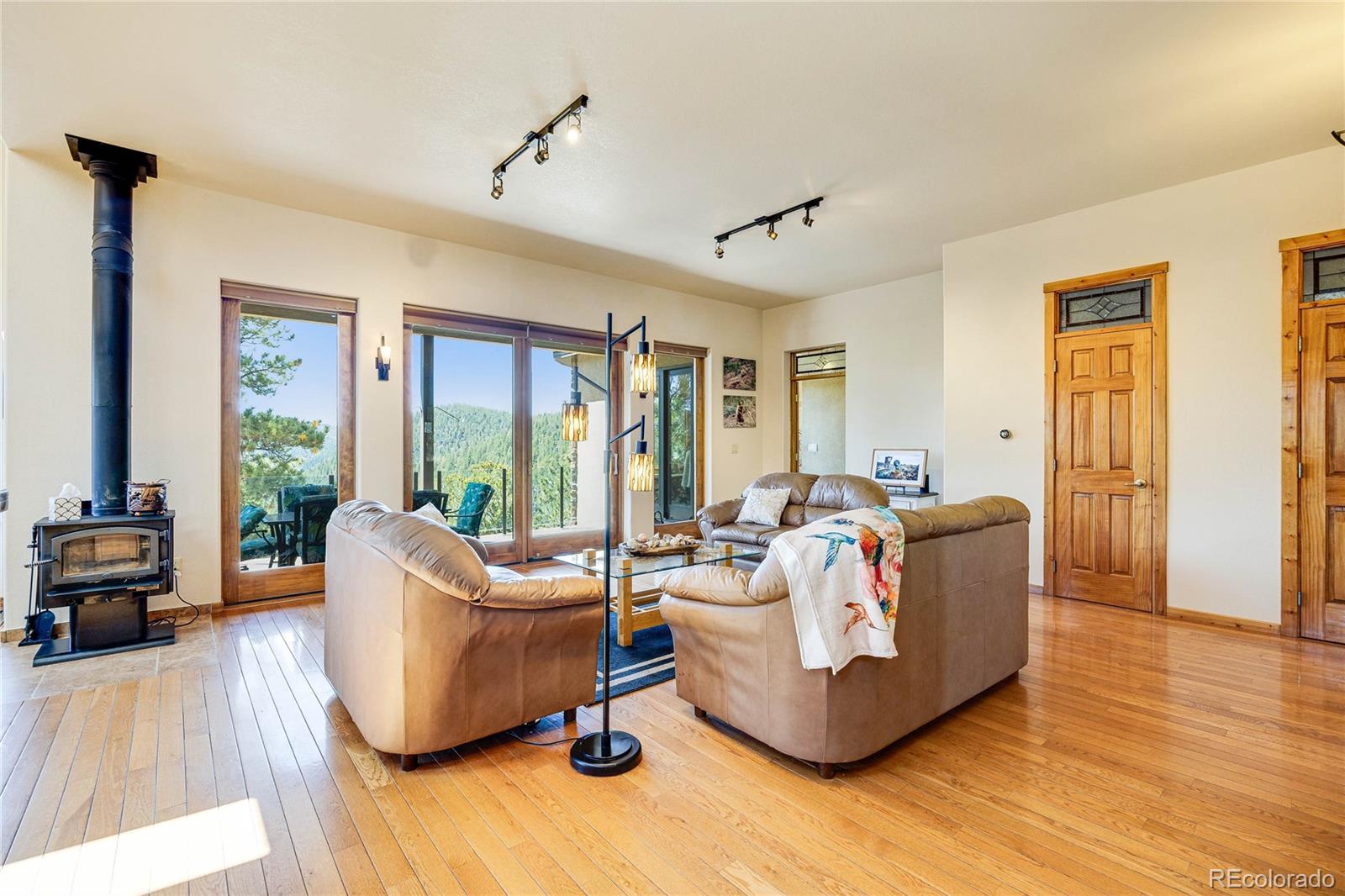 MLS Image #6 for 239  wildlife point,divide, Colorado