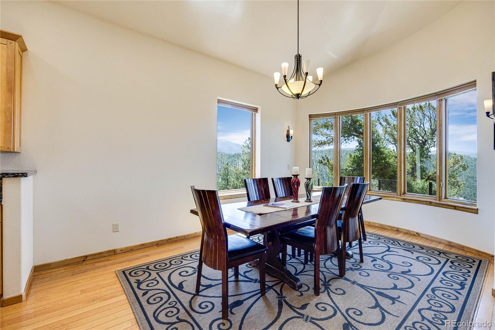 MLS Image #7 for 239  wildlife point,divide, Colorado