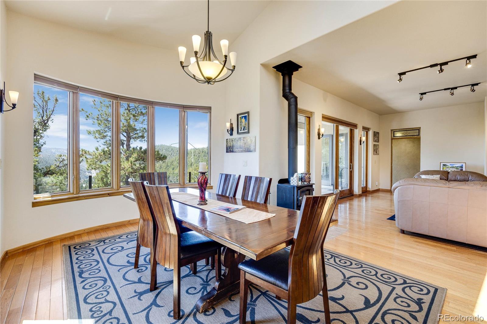 MLS Image #8 for 239  wildlife point,divide, Colorado