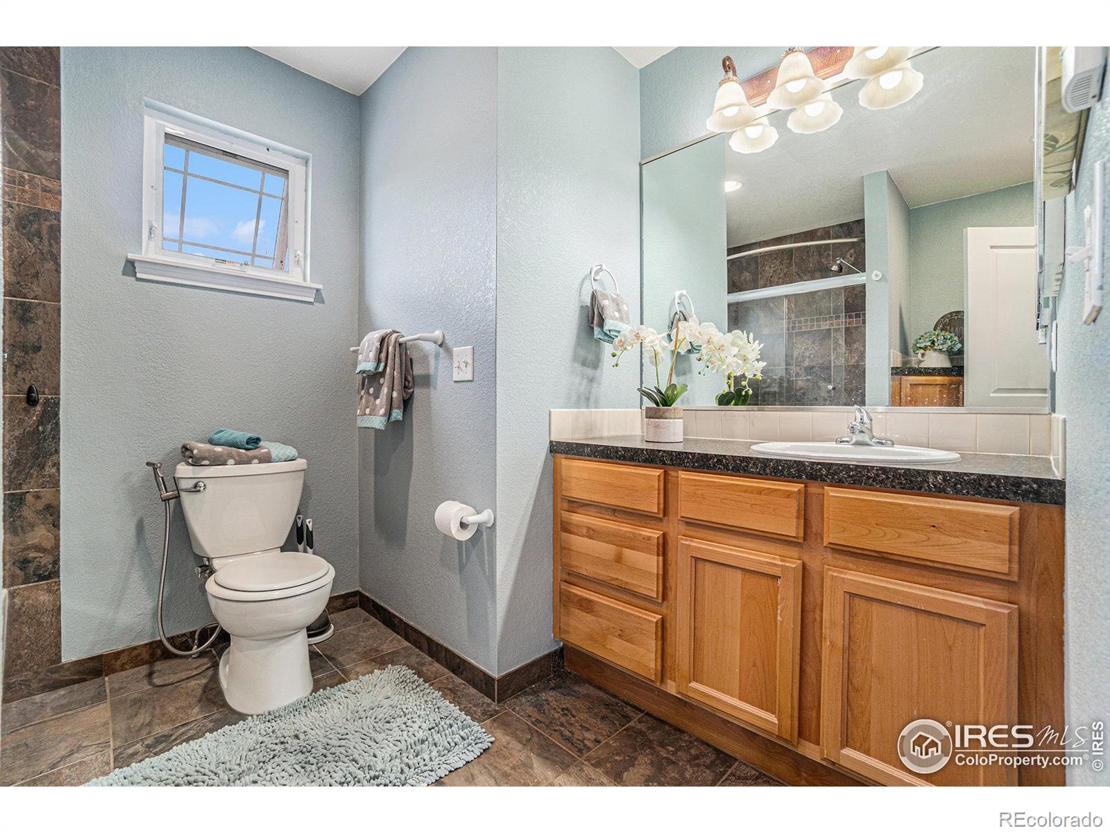 MLS Image #16 for 2557  limon drive,fort collins, Colorado