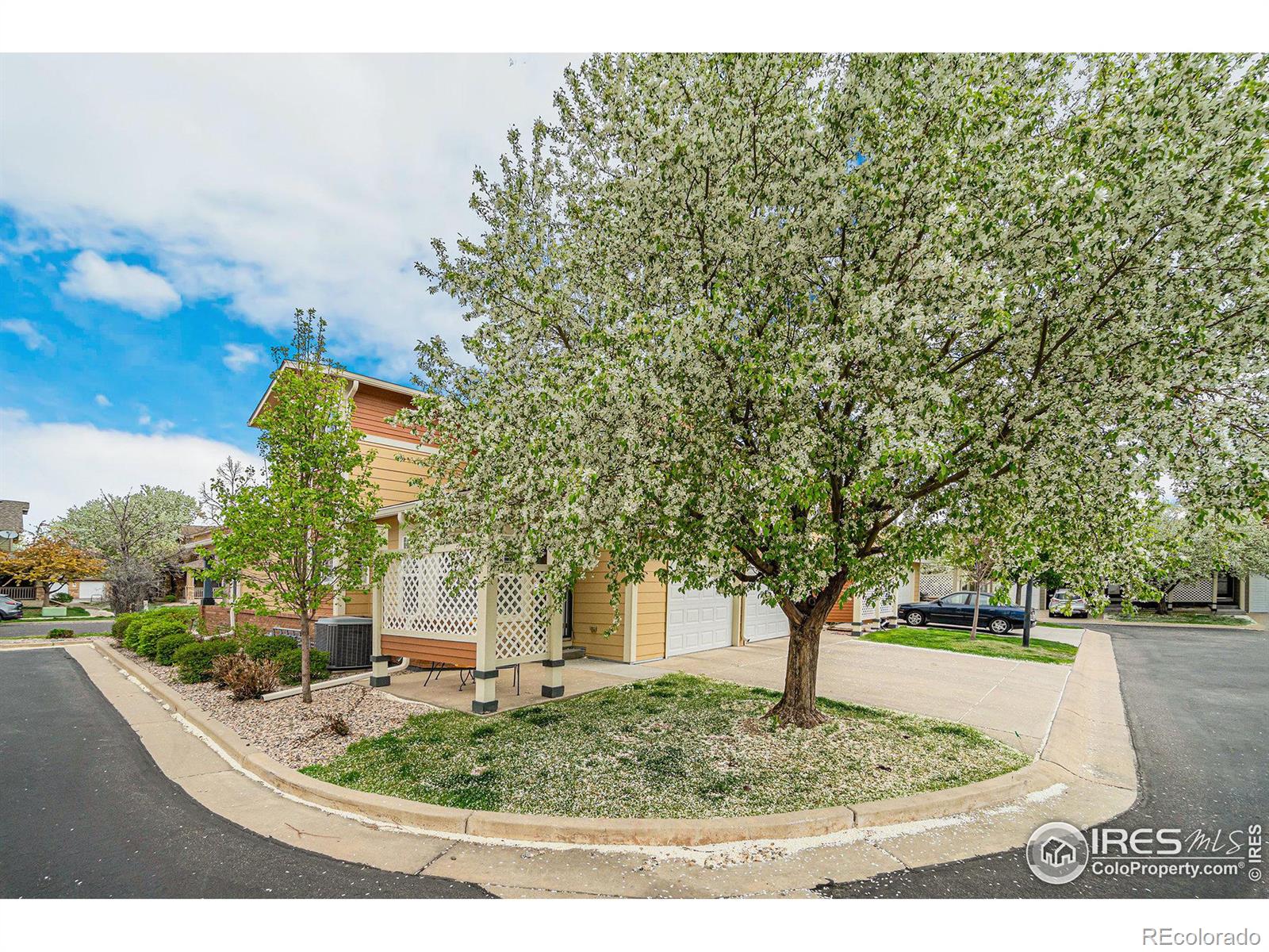 MLS Image #26 for 2557  limon drive,fort collins, Colorado