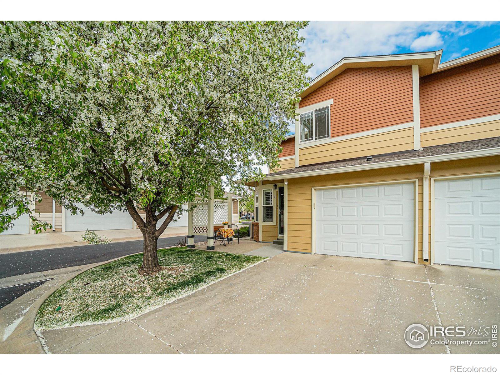 MLS Image #28 for 2557  limon drive,fort collins, Colorado