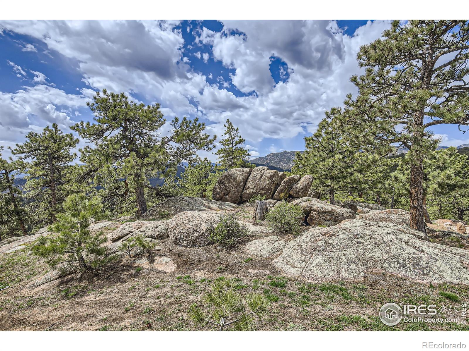 MLS Image #8 for 63  leons place,lyons, Colorado