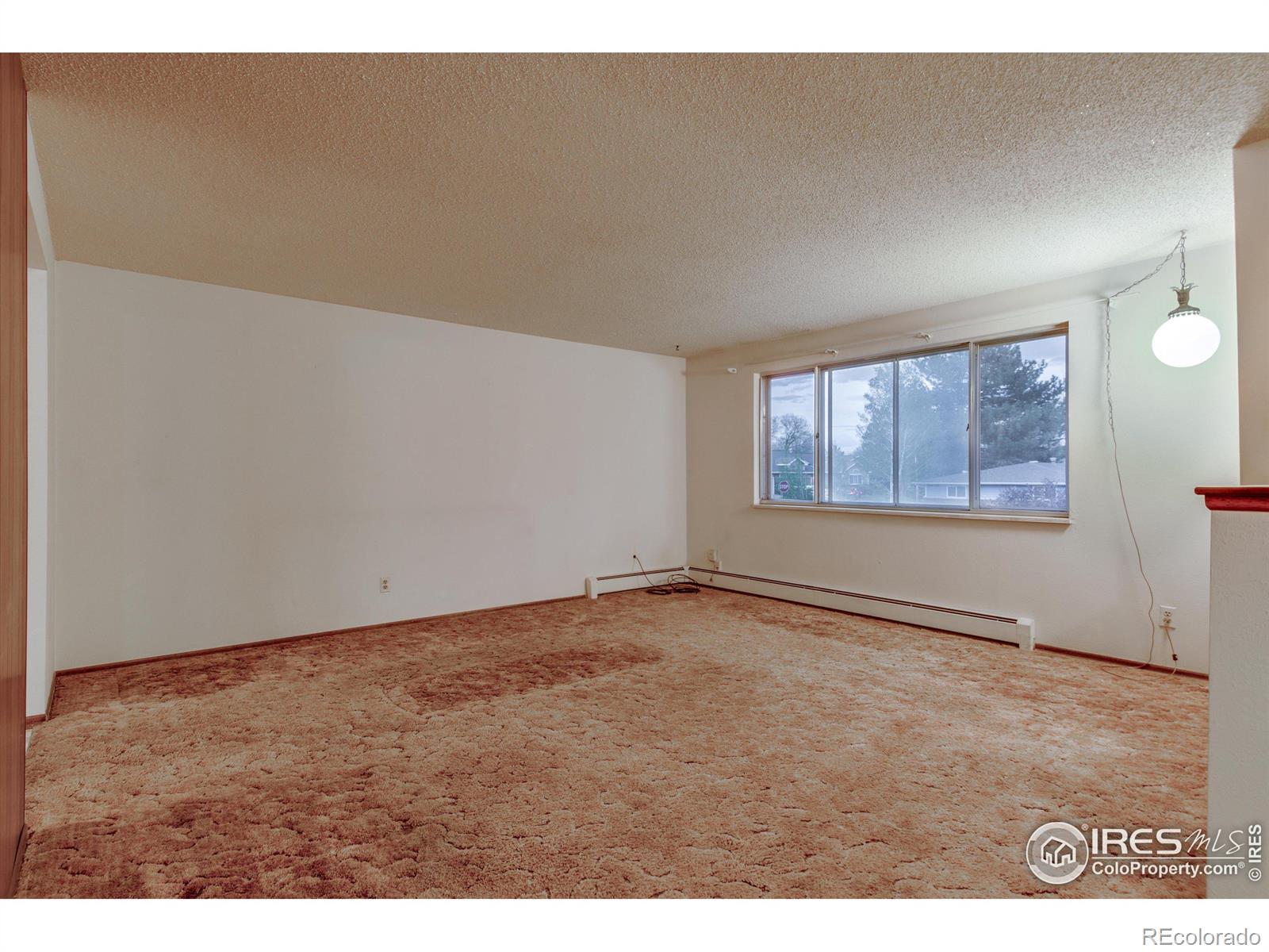 MLS Image #6 for 1441  sumac street,longmont, Colorado