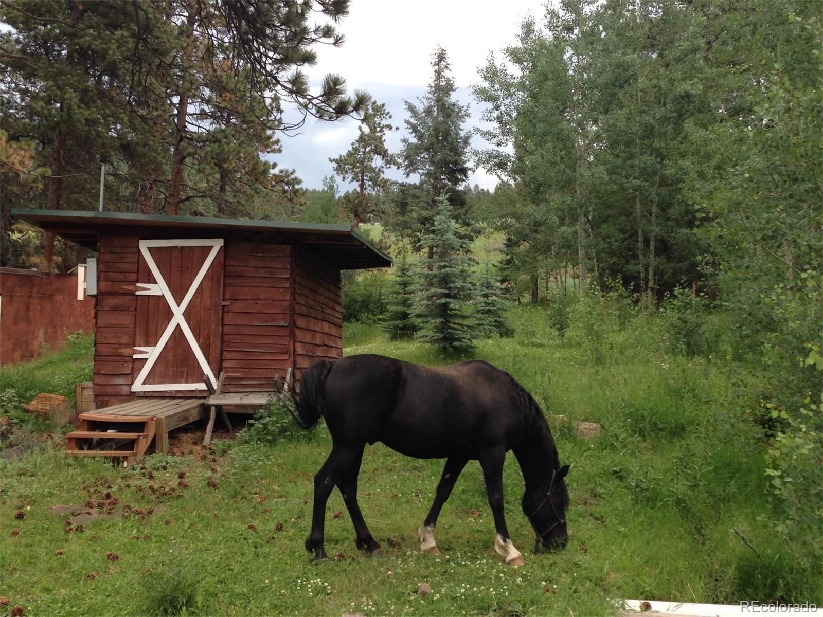 MLS Image #4 for 9399  granzella road,morrison, Colorado