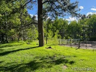 MLS Image #6 for 9399  granzella road,morrison, Colorado