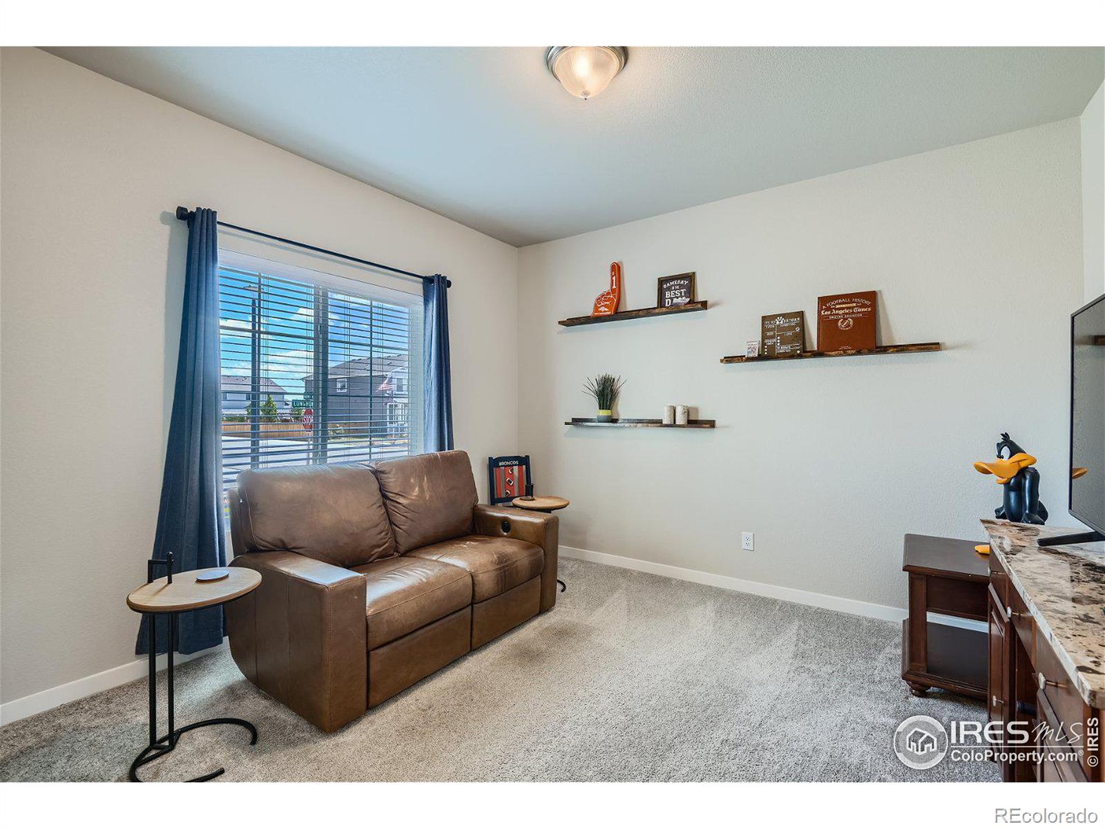 MLS Image #10 for 14861  longhorn drive,mead, Colorado