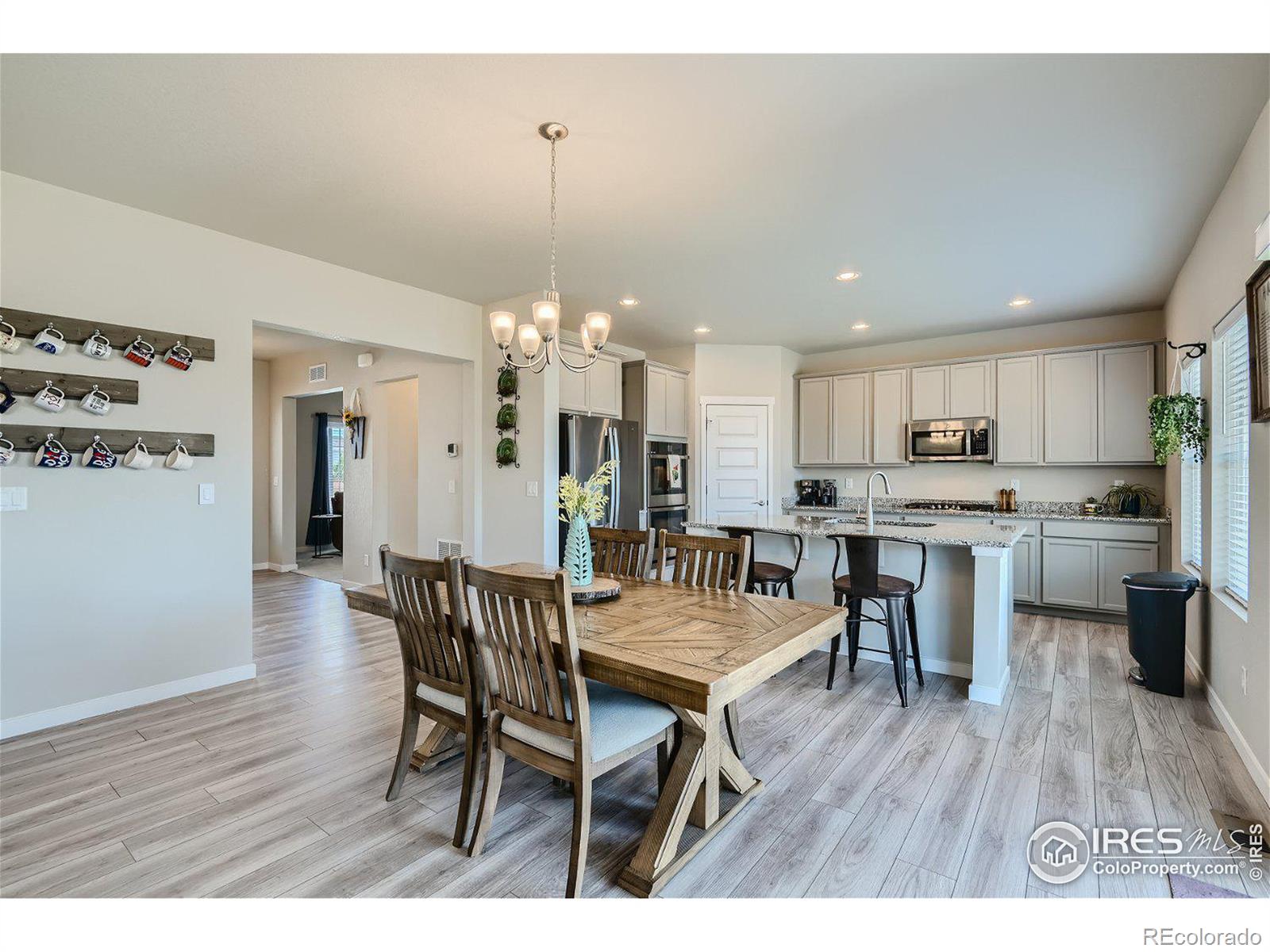 MLS Image #6 for 14861  longhorn drive,mead, Colorado