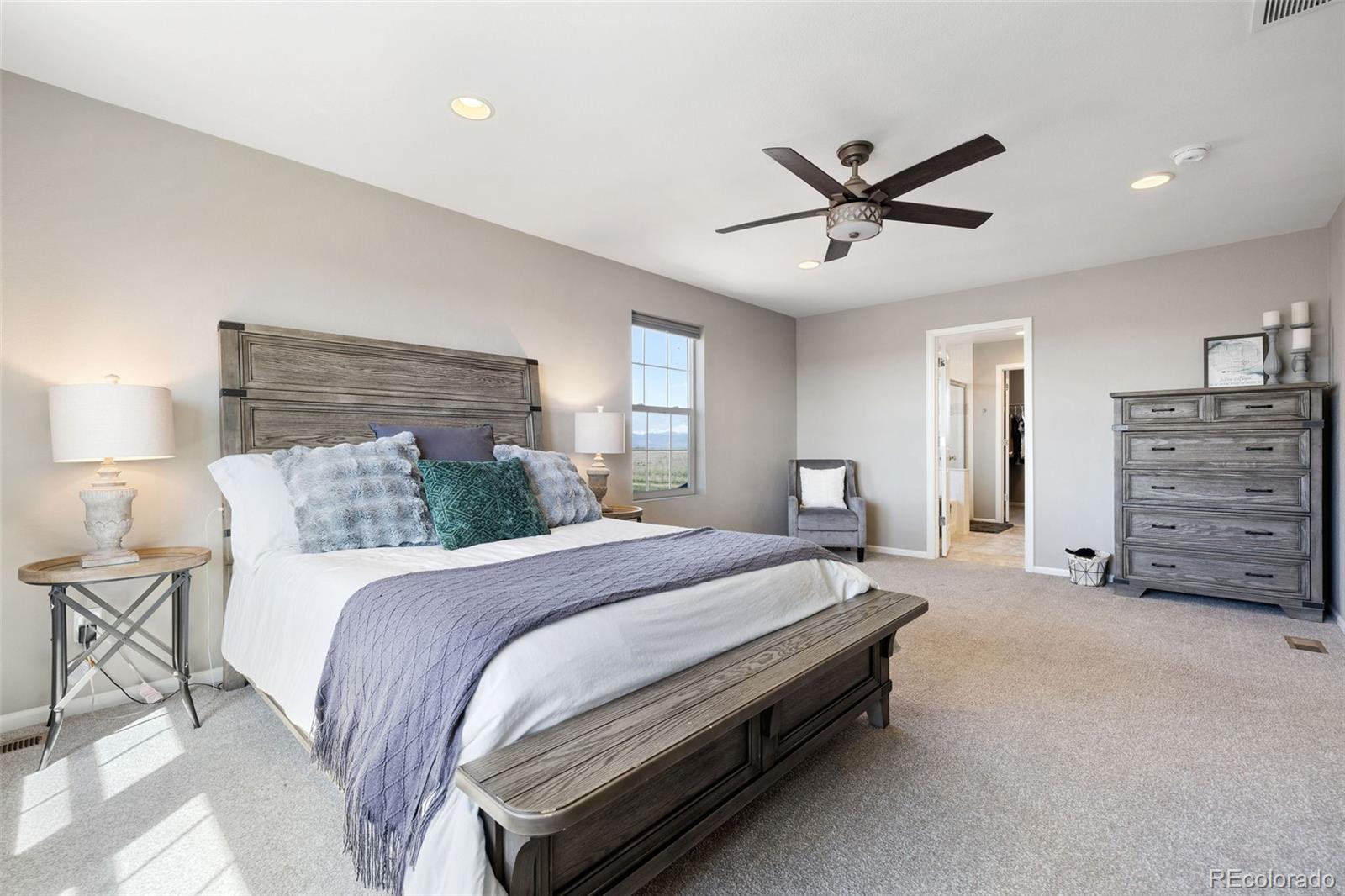 MLS Image #19 for 4810  wildflower place,dacono, Colorado