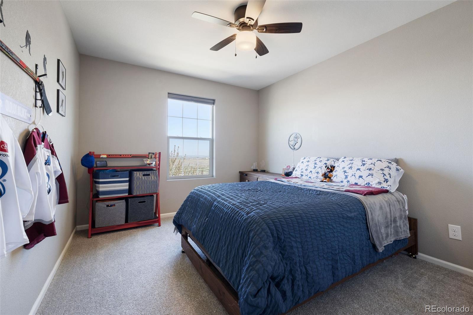 MLS Image #25 for 4810  wildflower place,dacono, Colorado