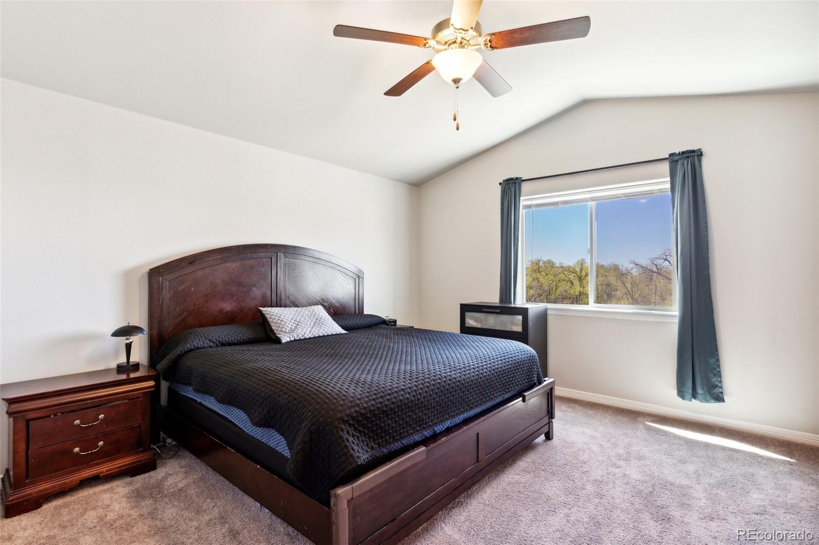 MLS Image #18 for 5443  hammond drive,colorado springs, Colorado