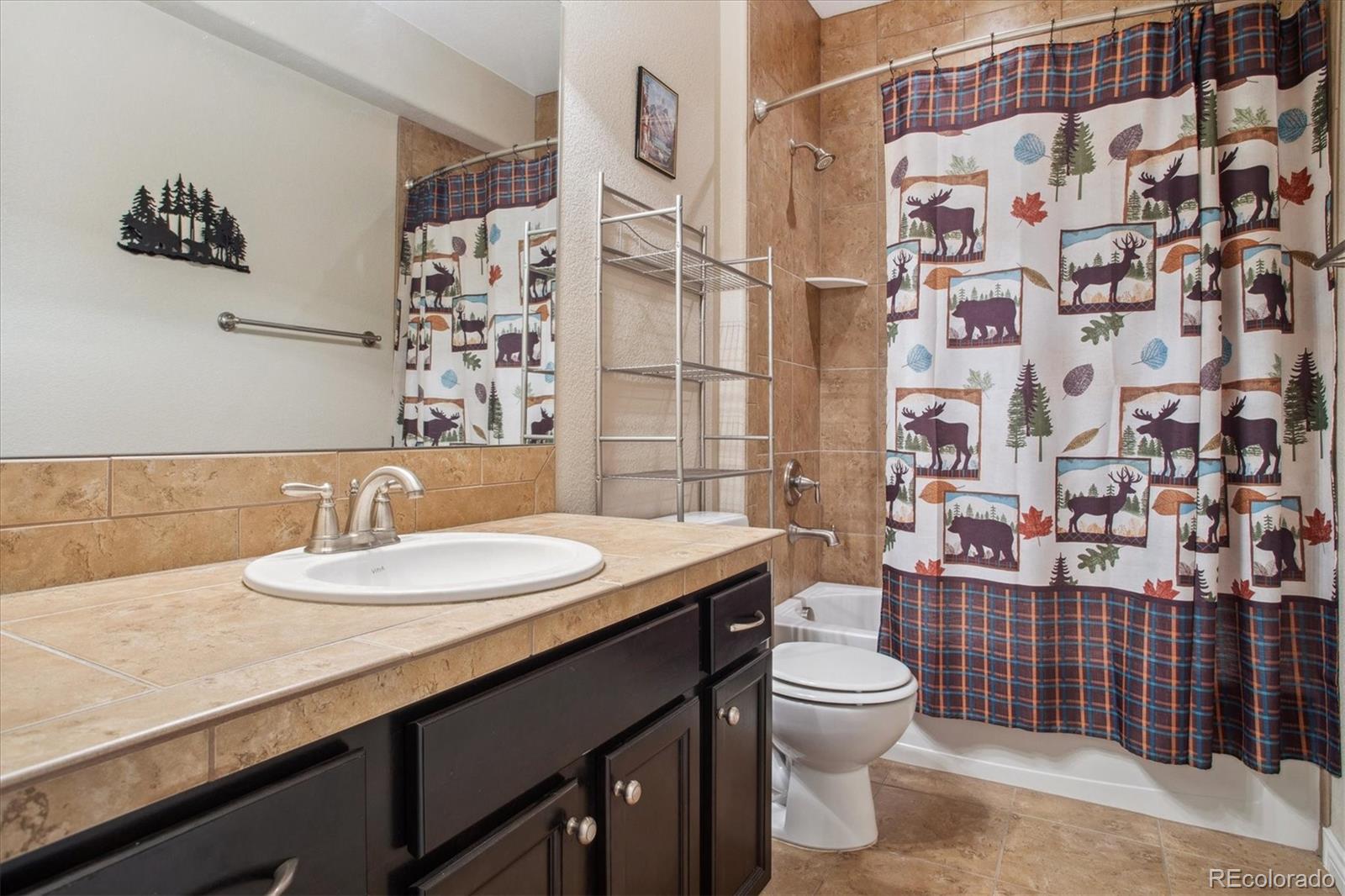 MLS Image #29 for 10060  bristleridge street,parker, Colorado