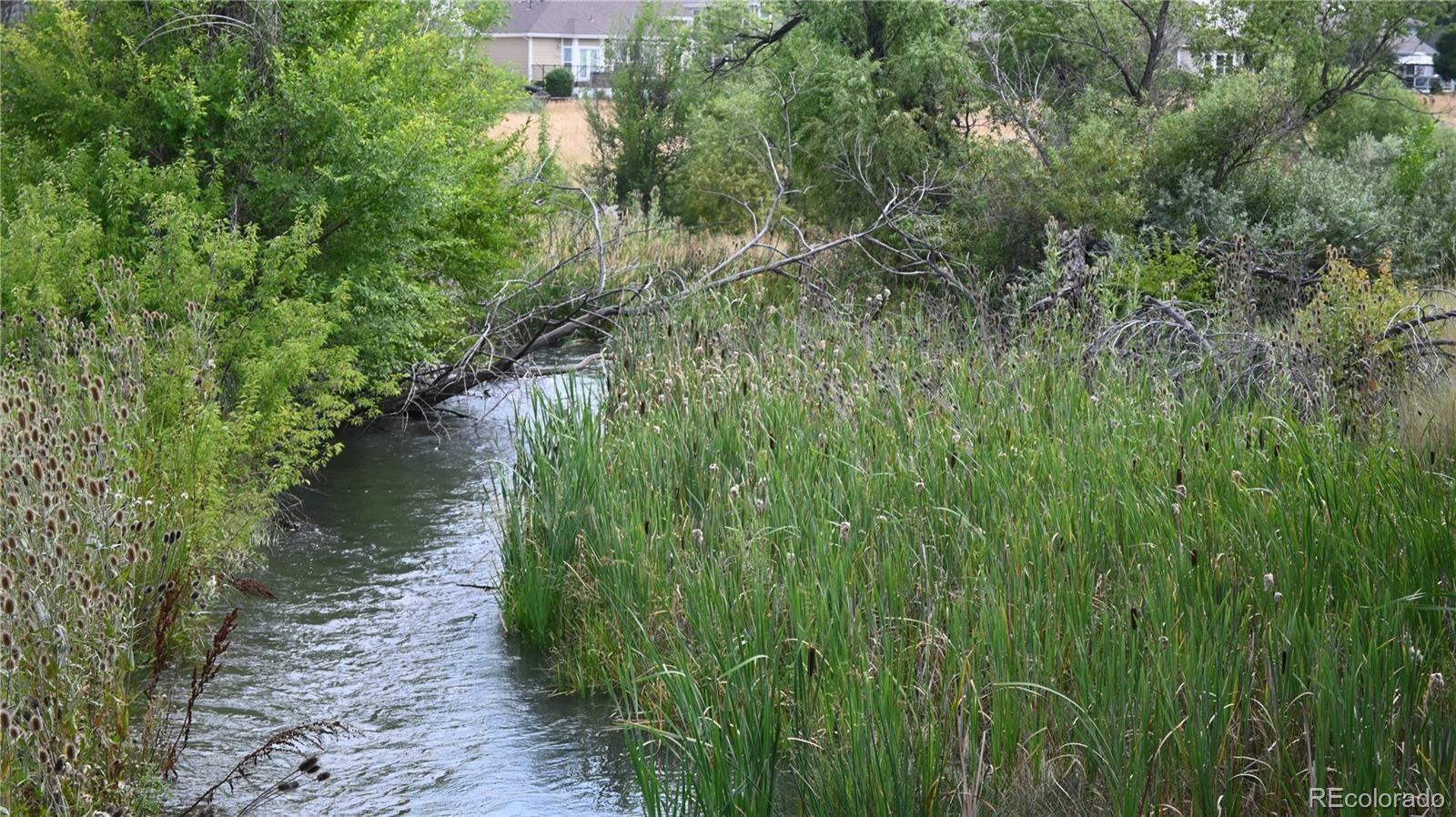 MLS Image #19 for 9675  independence drive ,westminster, Colorado