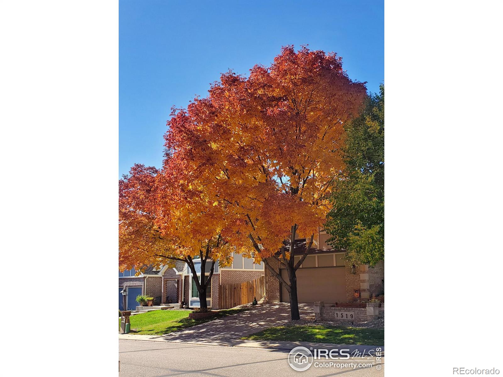 MLS Image #34 for 1519  sunset street,longmont, Colorado