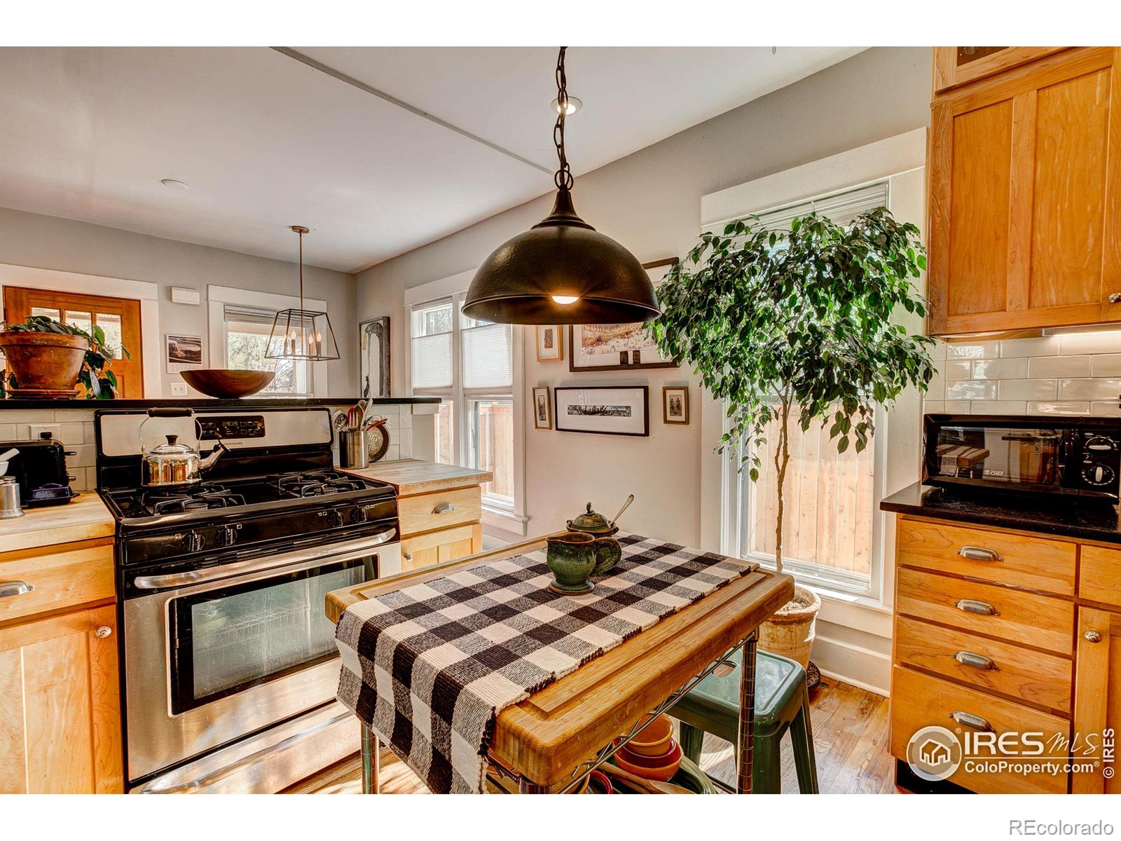 MLS Image #21 for 617  maple street,fort collins, Colorado