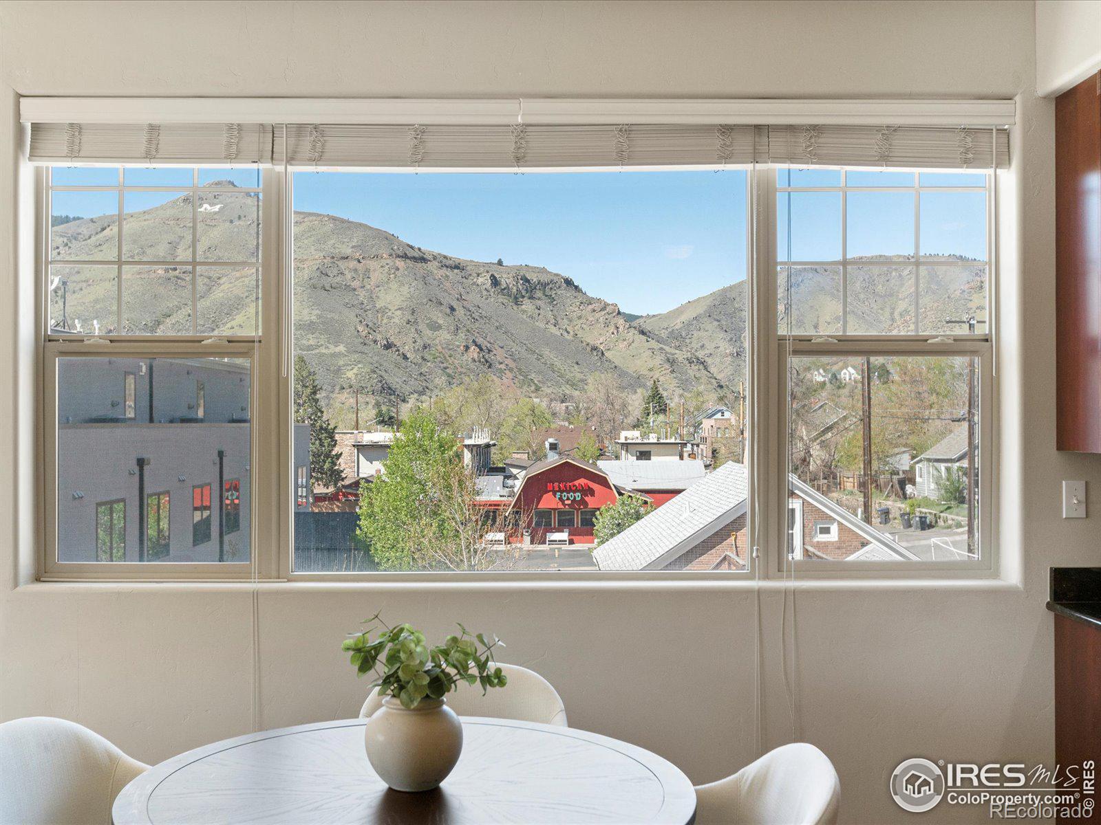 MLS Image #10 for 722  washington avenue 301,golden, Colorado