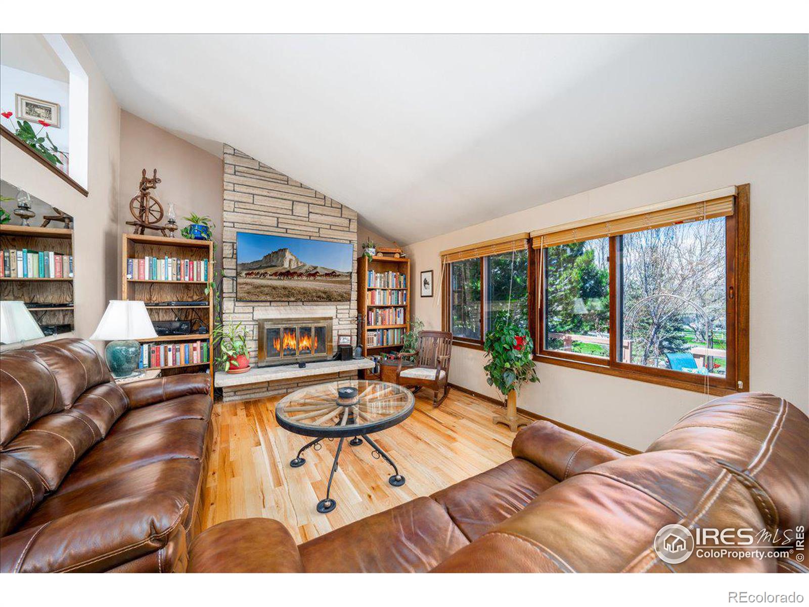 Report Image for 2609  Martingale Drive,Berthoud, Colorado