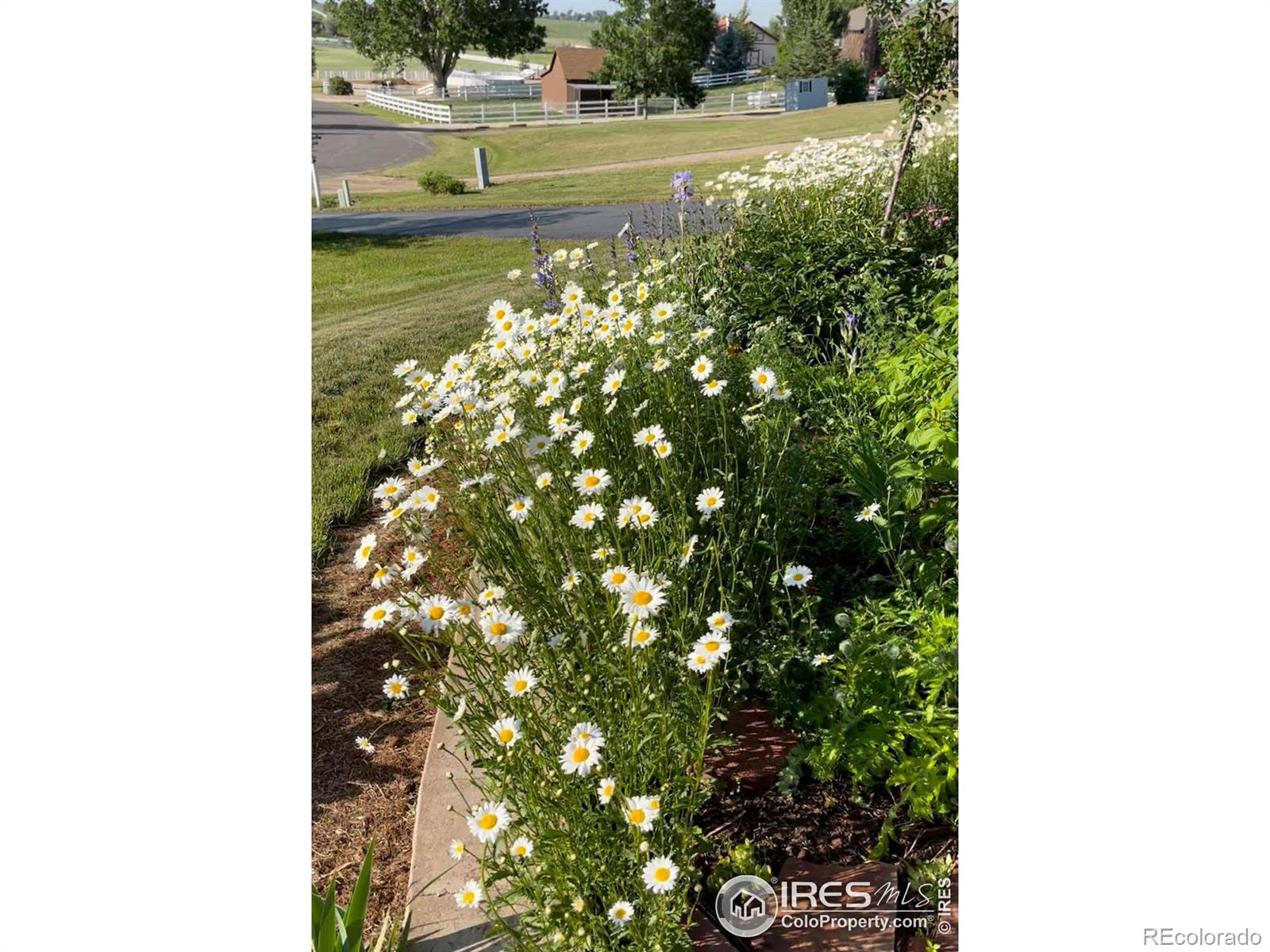 MLS Image #17 for 2609  martingale drive,berthoud, Colorado