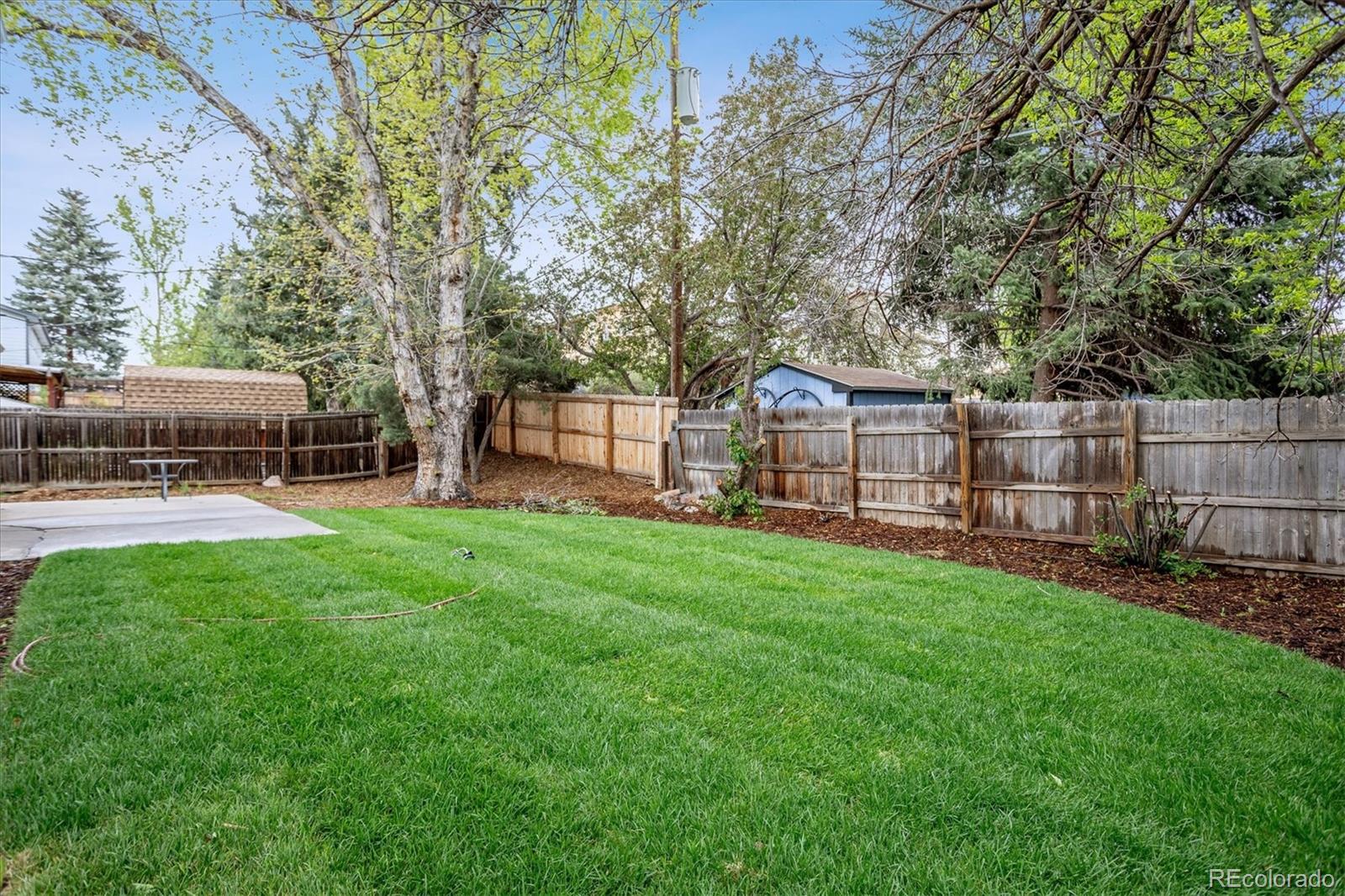 MLS Image #18 for 6634  welch street,arvada, Colorado