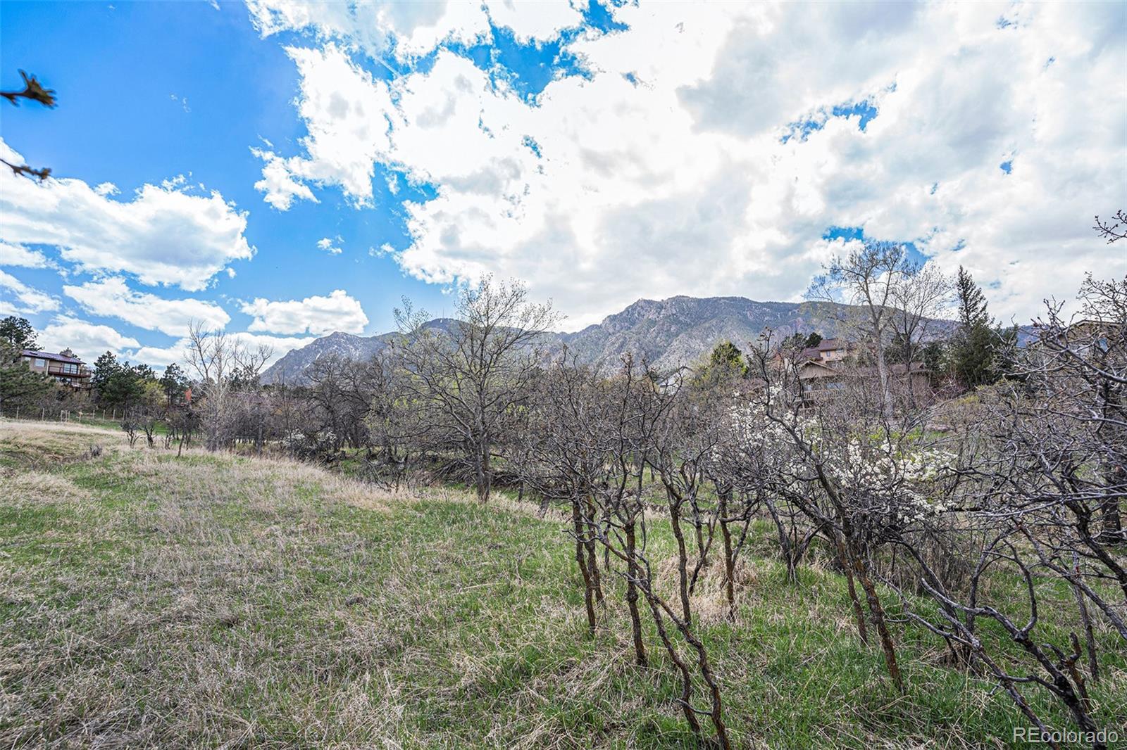 MLS Image #33 for 3920  wakefield drive,colorado springs, Colorado