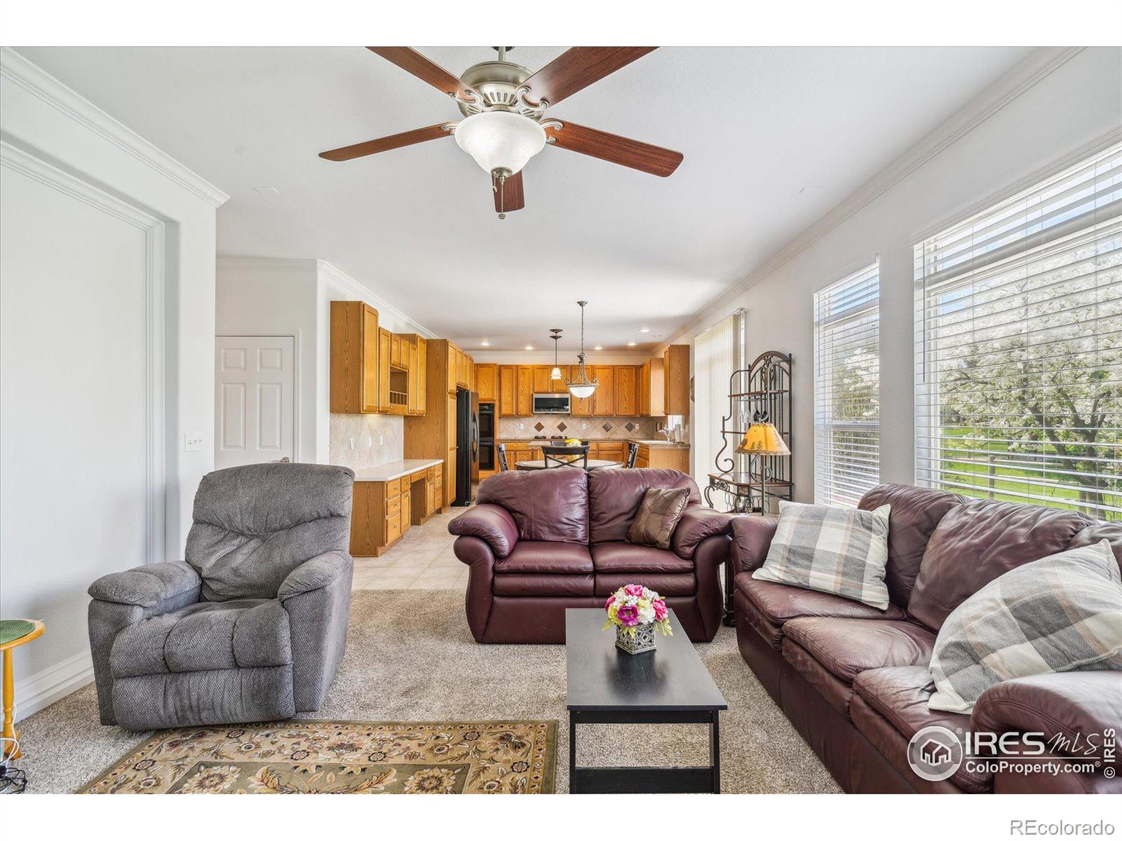 MLS Image #13 for 11717  pleasant hill,longmont, Colorado