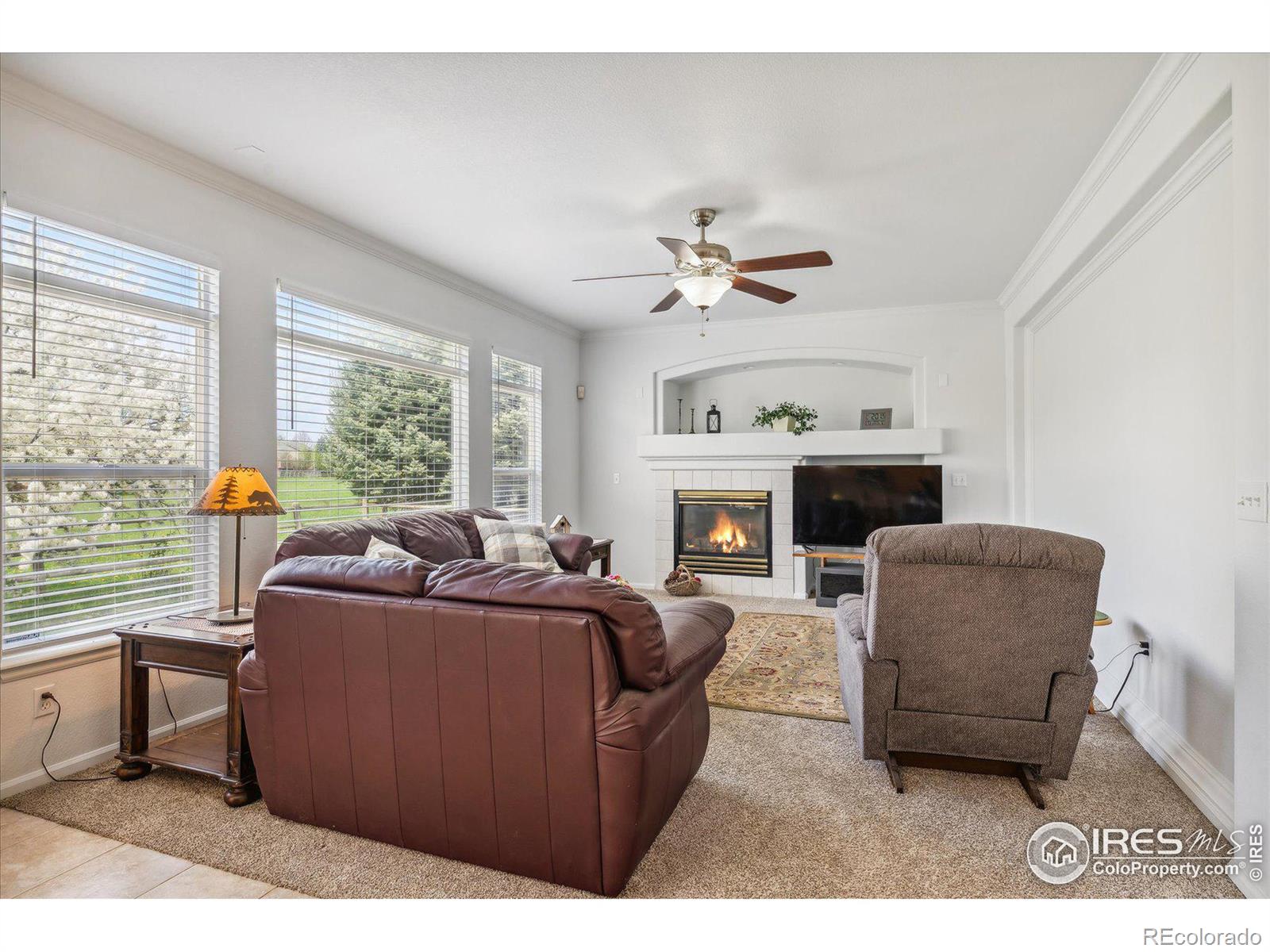 MLS Image #14 for 11717  pleasant hill,longmont, Colorado