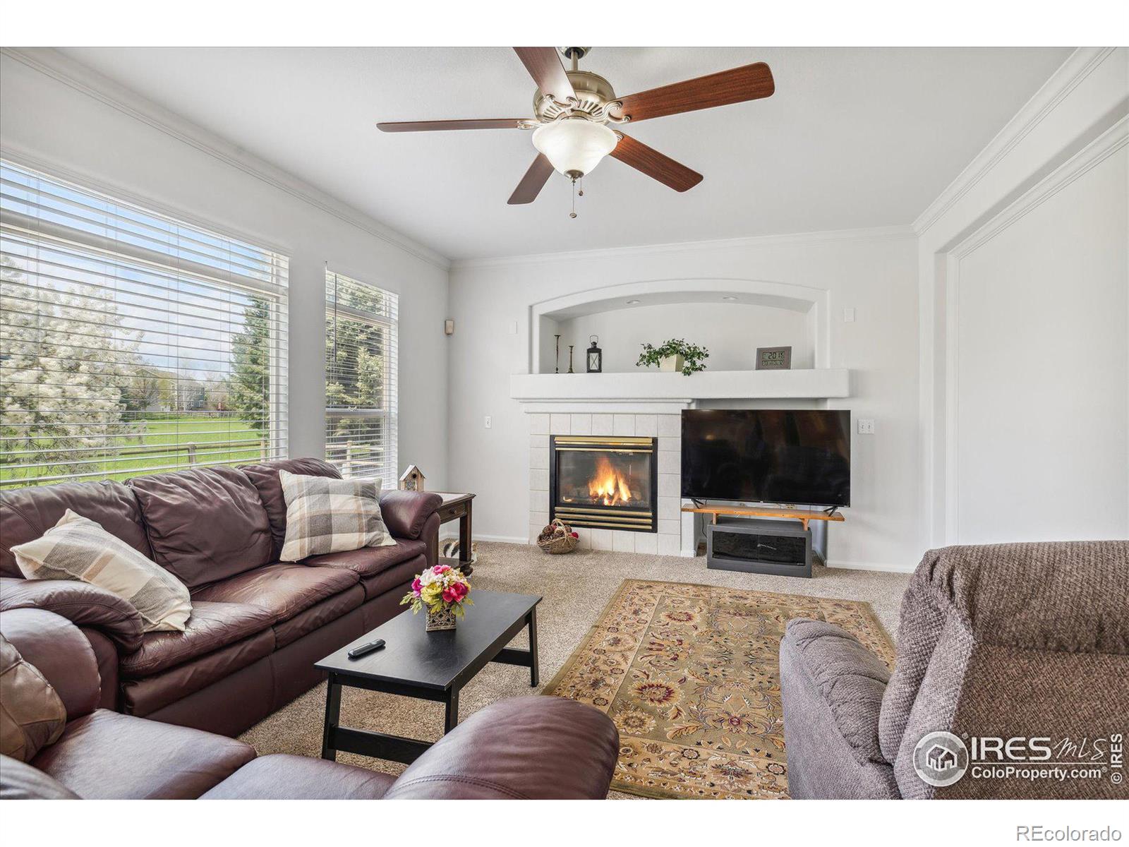 MLS Image #15 for 11717  pleasant hill,longmont, Colorado