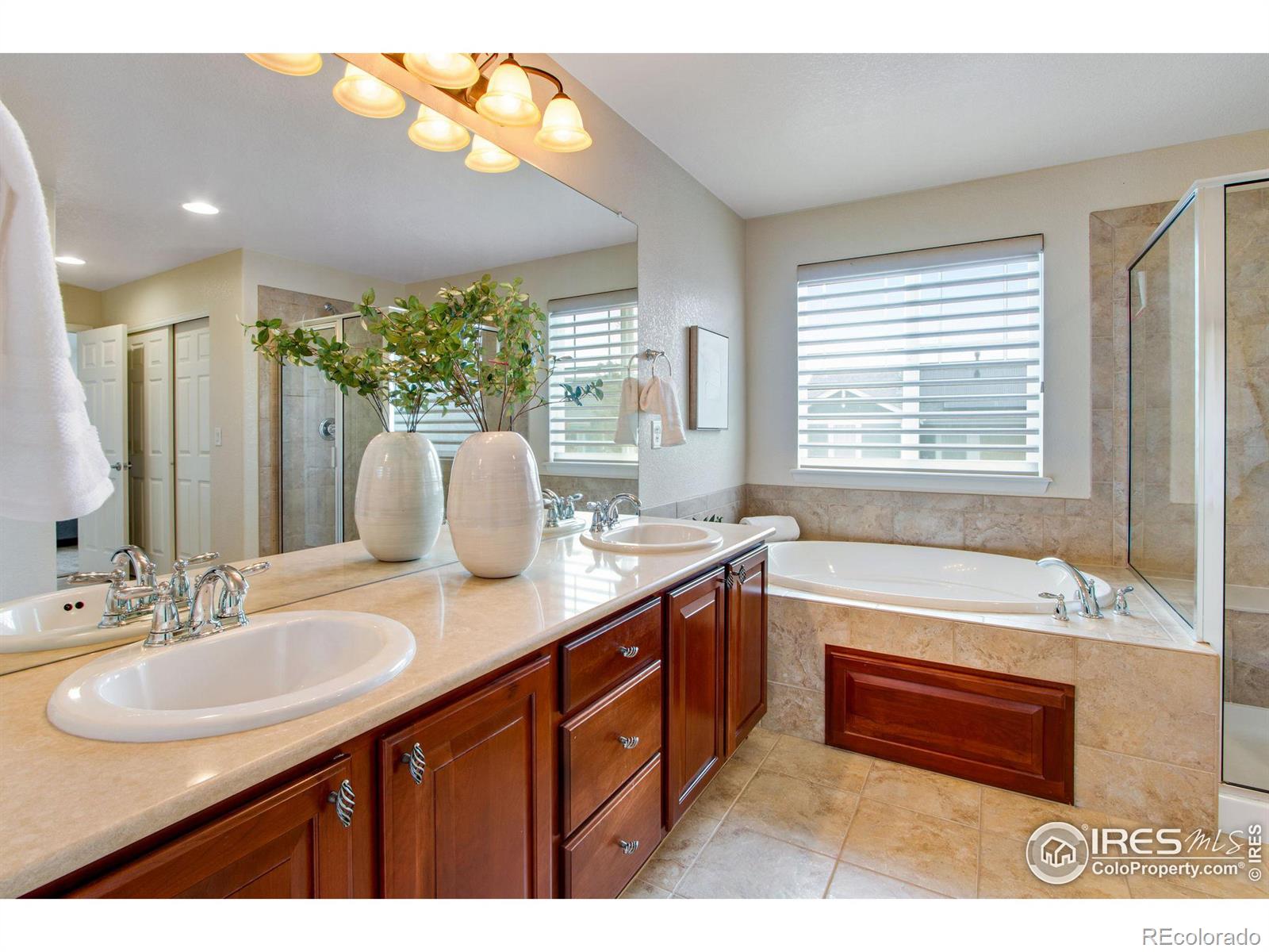 MLS Image #28 for 279  bittern drive,johnstown, Colorado