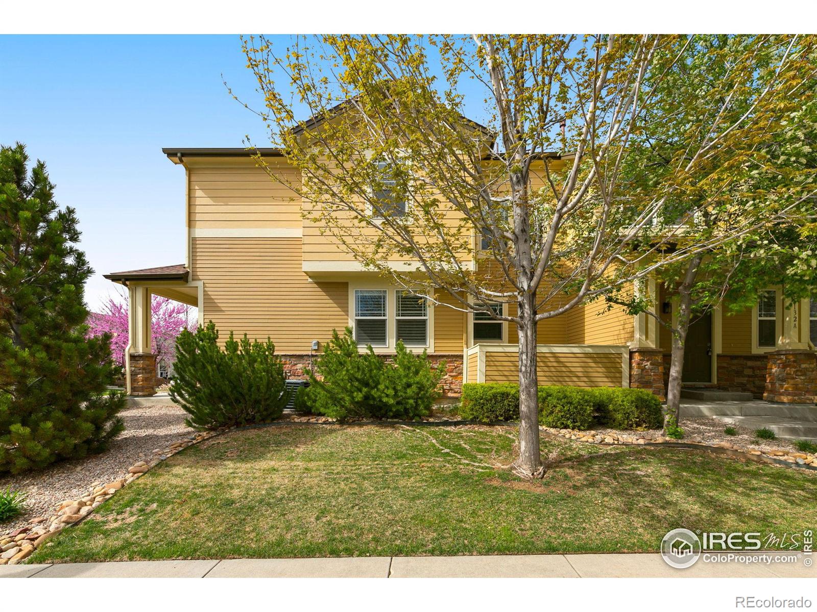 CMA Image for 3644  big dipper drive,Fort Collins, Colorado