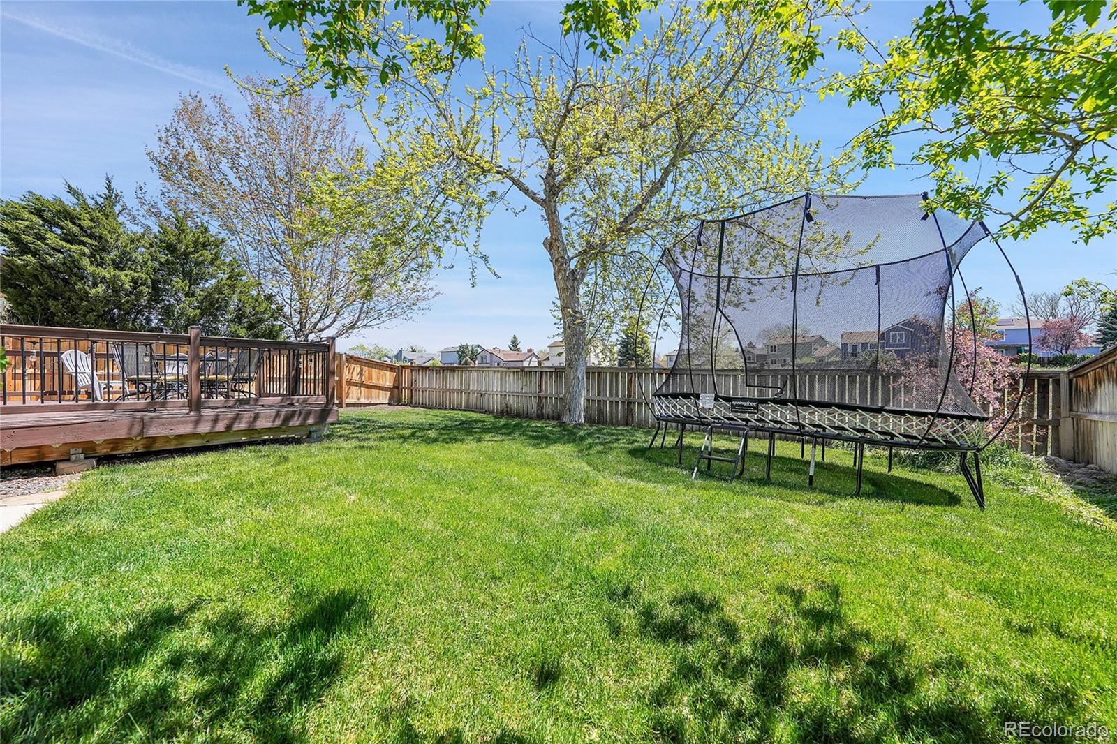 MLS Image #33 for 9202  stargrass circle,highlands ranch, Colorado