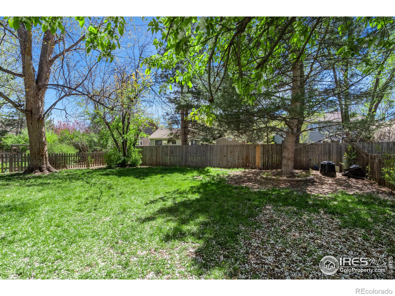 MLS Image #14 for 2821  garrett drive,fort collins, Colorado