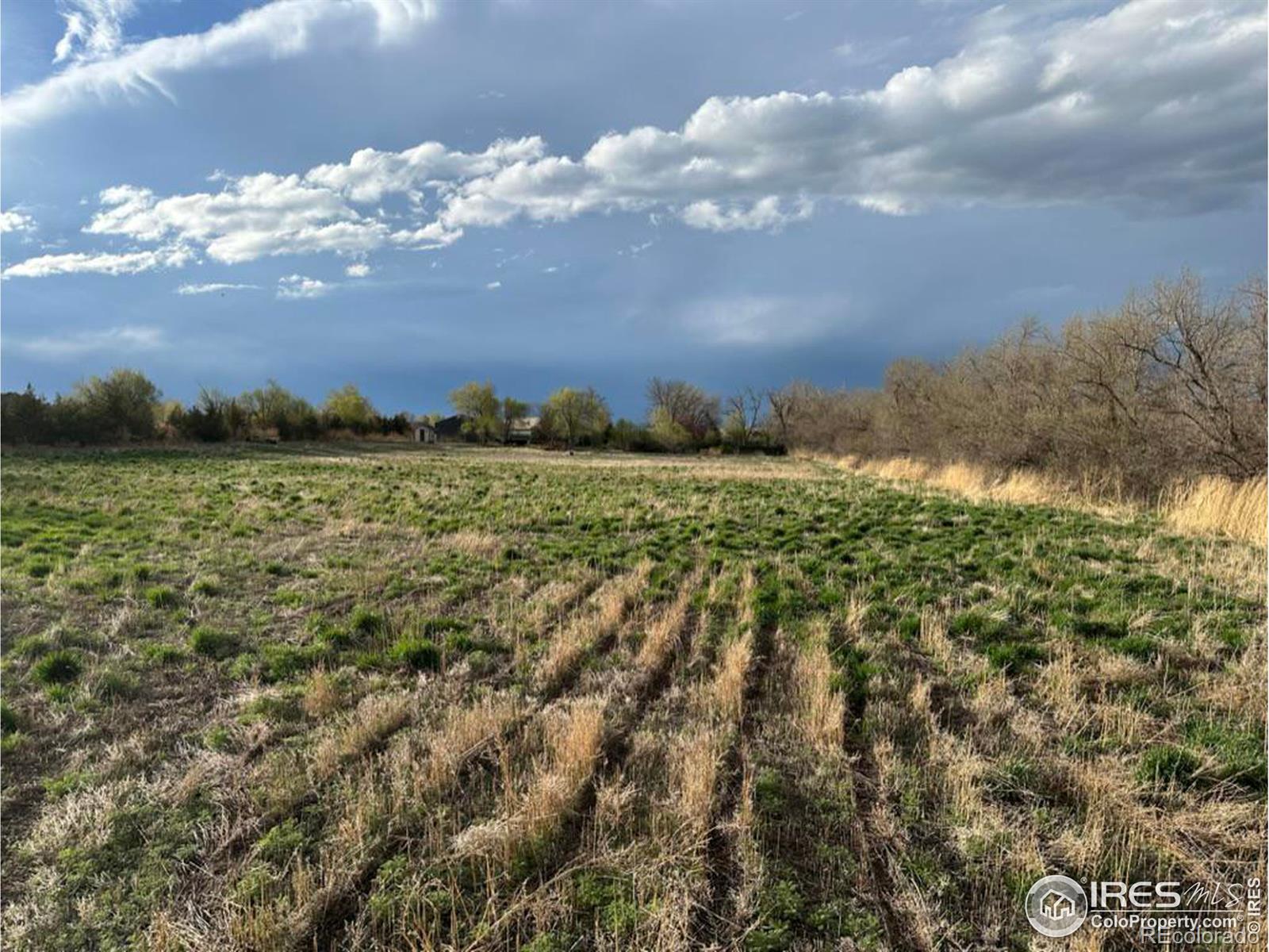 MLS Image #11 for 30991  county road 17 ,windsor, Colorado