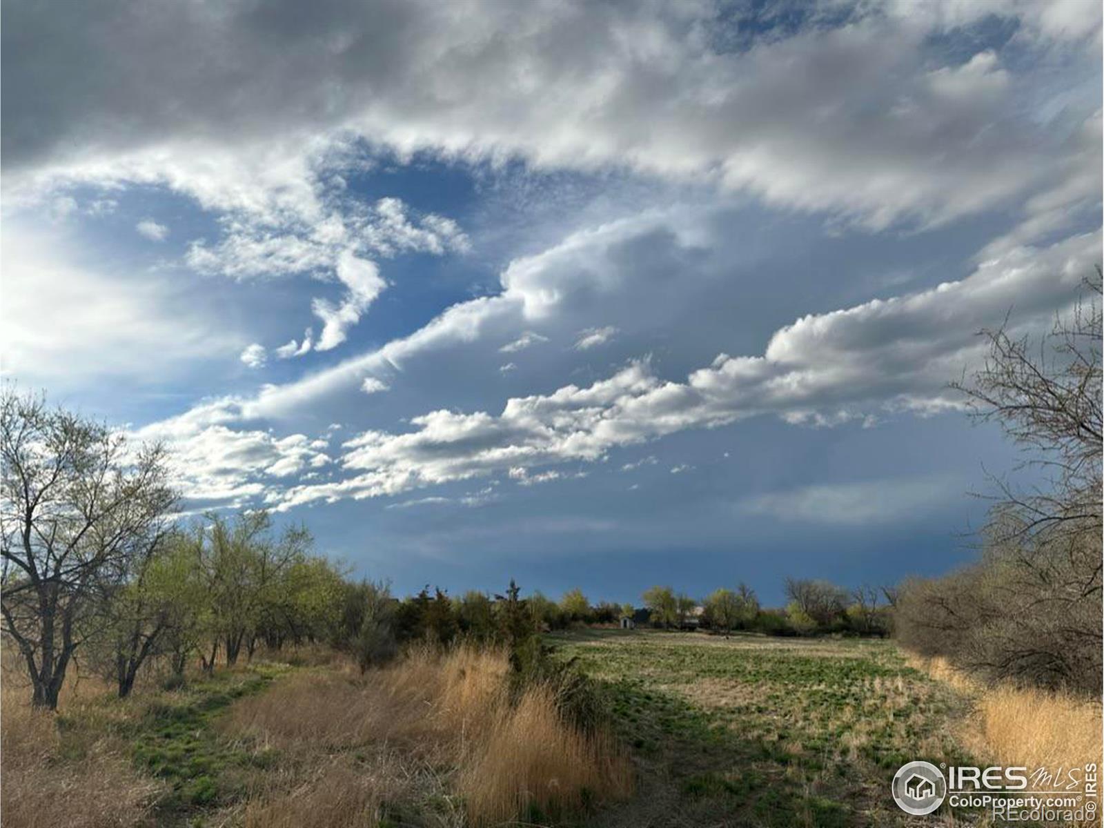 MLS Image #9 for 30991  county road 17 ,windsor, Colorado