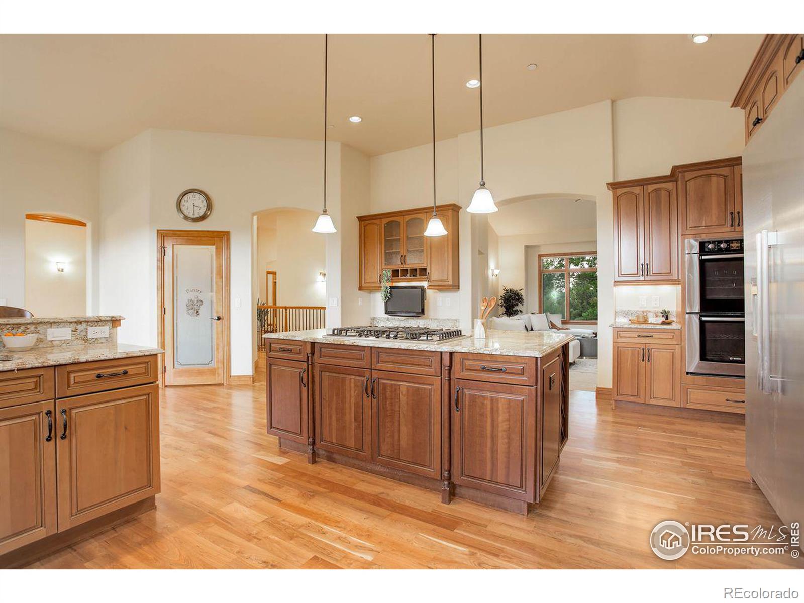 MLS Image #12 for 8762  portico lane,longmont, Colorado